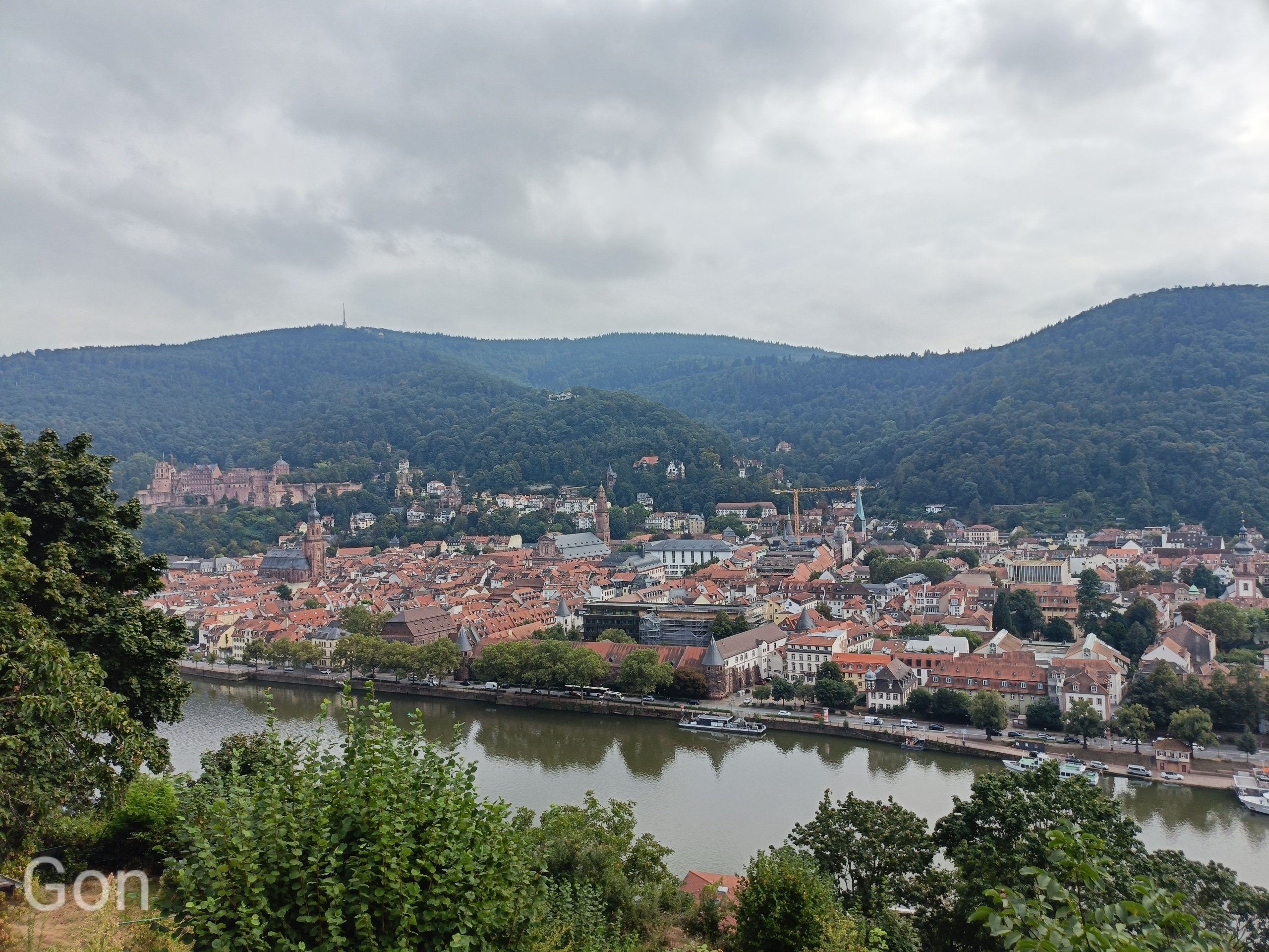 ドイツ】赤い屋根の絶景｜ごん太