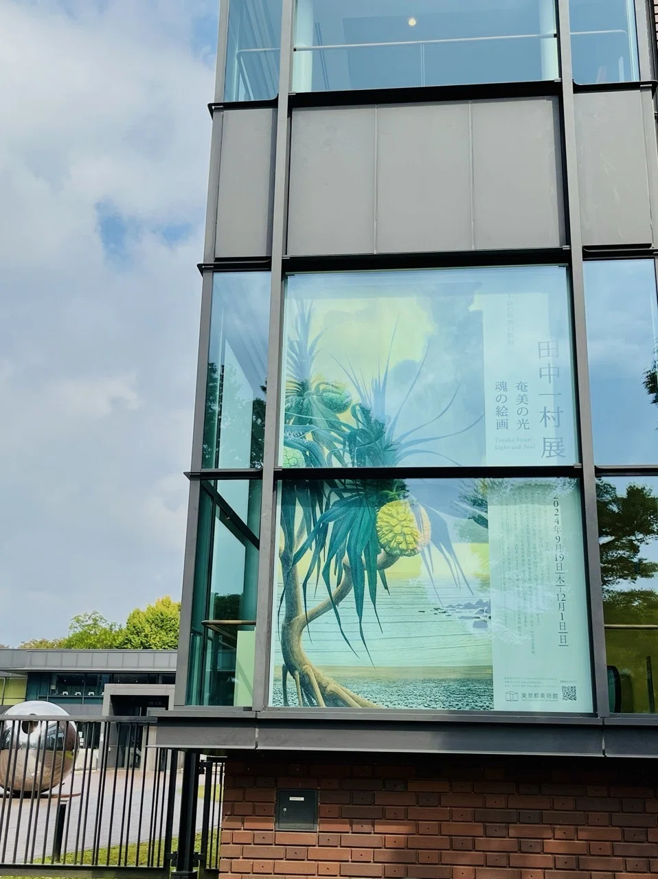 田中一村展レビュー！絵の魅力と混雑回避のコツ！アダン・白い花