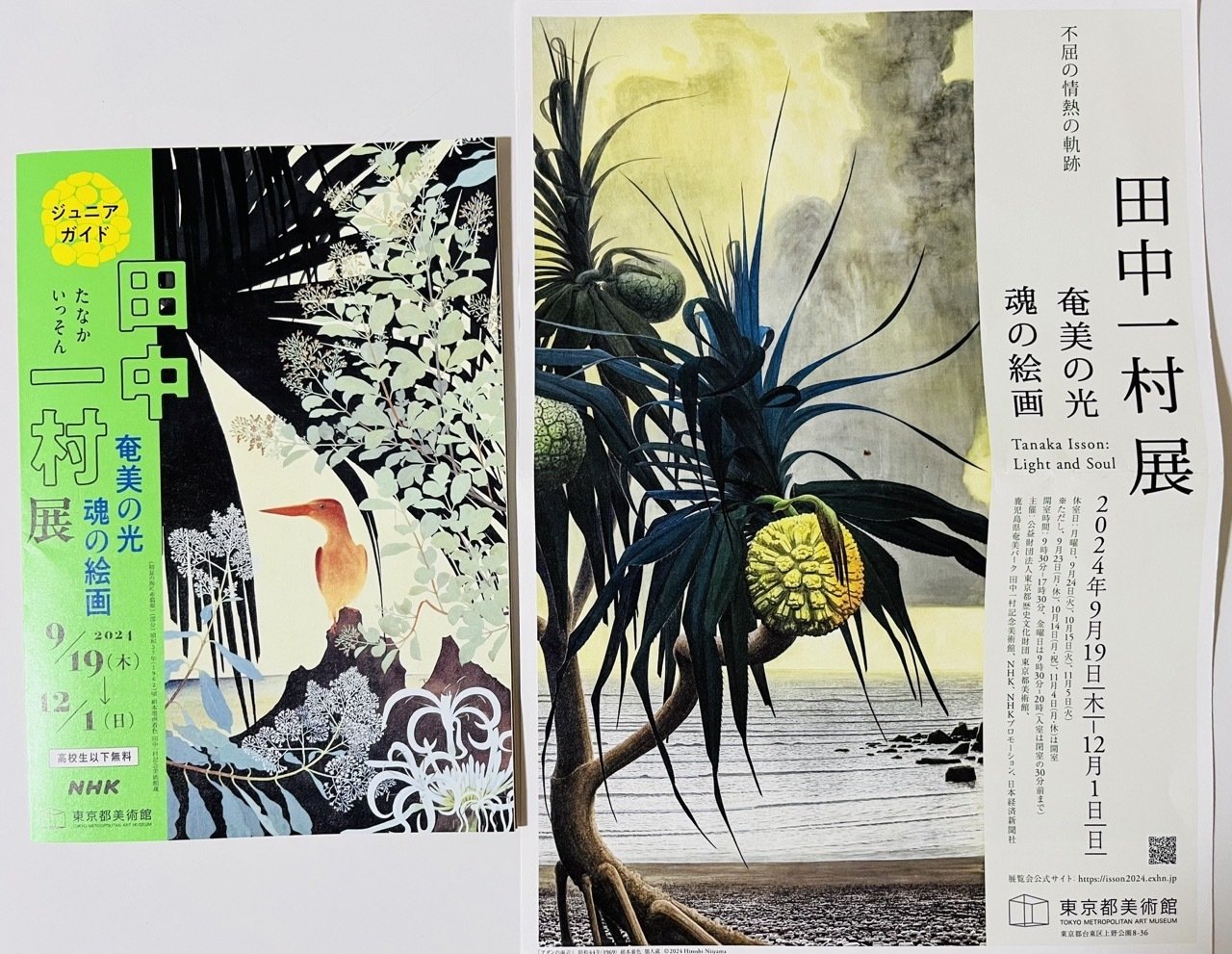 田中一村展レビュー！絵の魅力と混雑回避のコツ！アダン・白い花