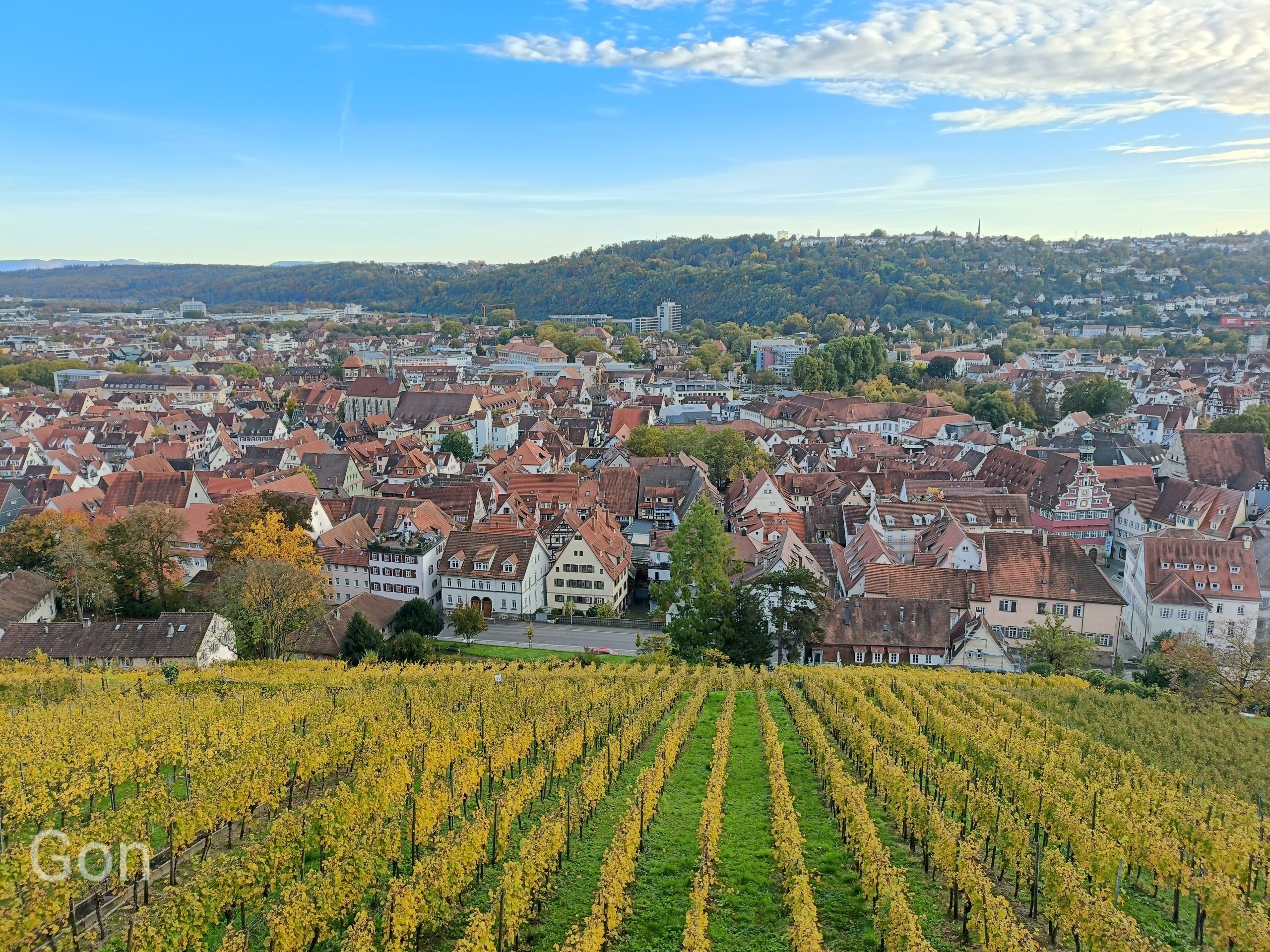 ドイツ】赤い屋根の絶景｜ごん太