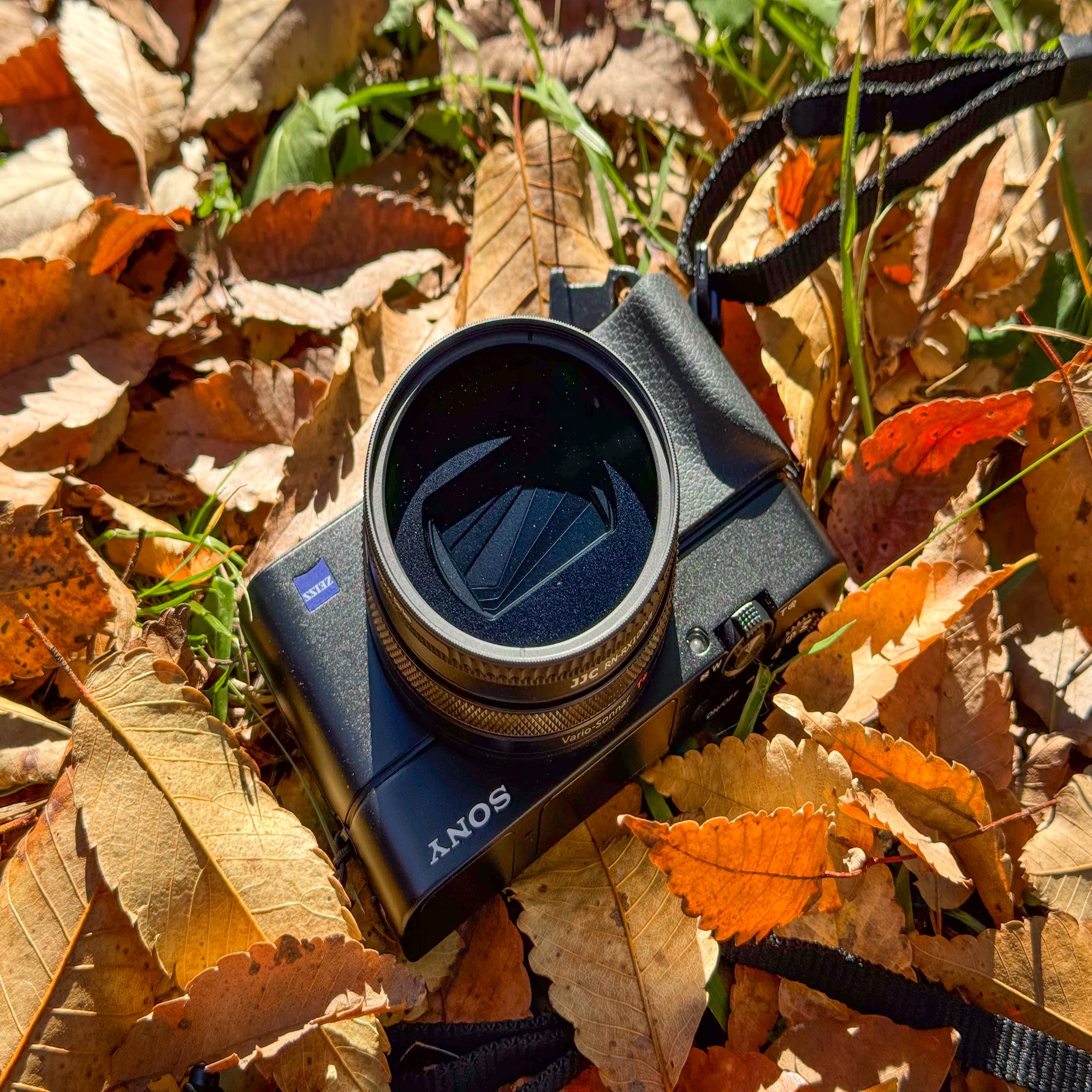 今時のコンデジ事情 SONY RX100M7｜ツバメ
