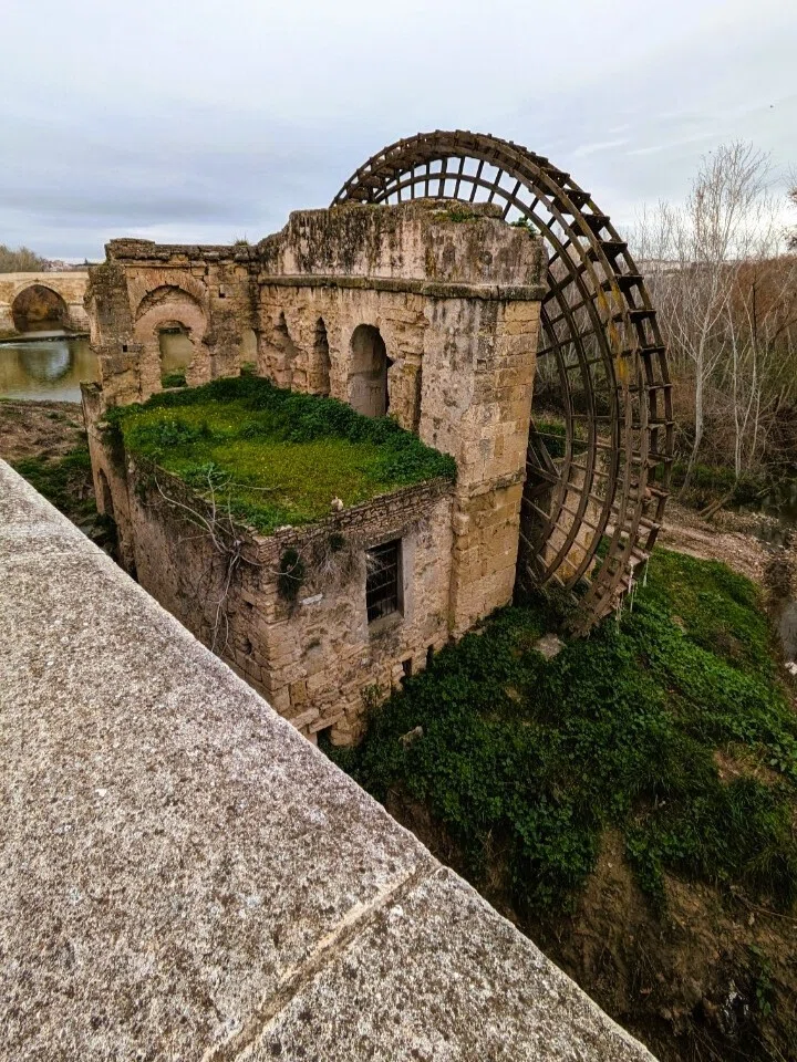 コルドバ③～スペインのユダヤ人街【セルビア在住スペイン旅行