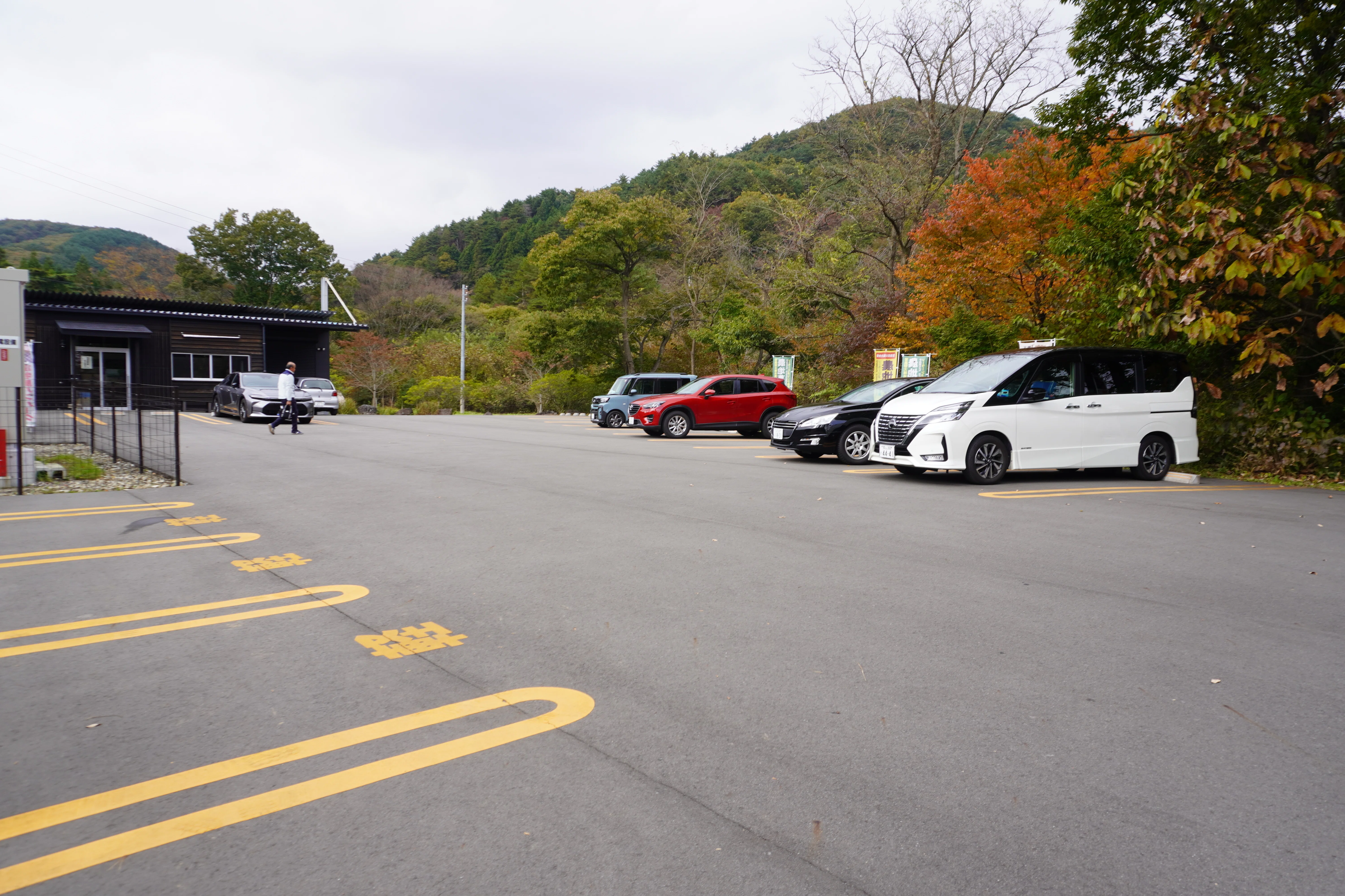 里の風農園 鉄板追加分 ZASO:238】福島県 #緑の風農園｜ZASOちゃんねる