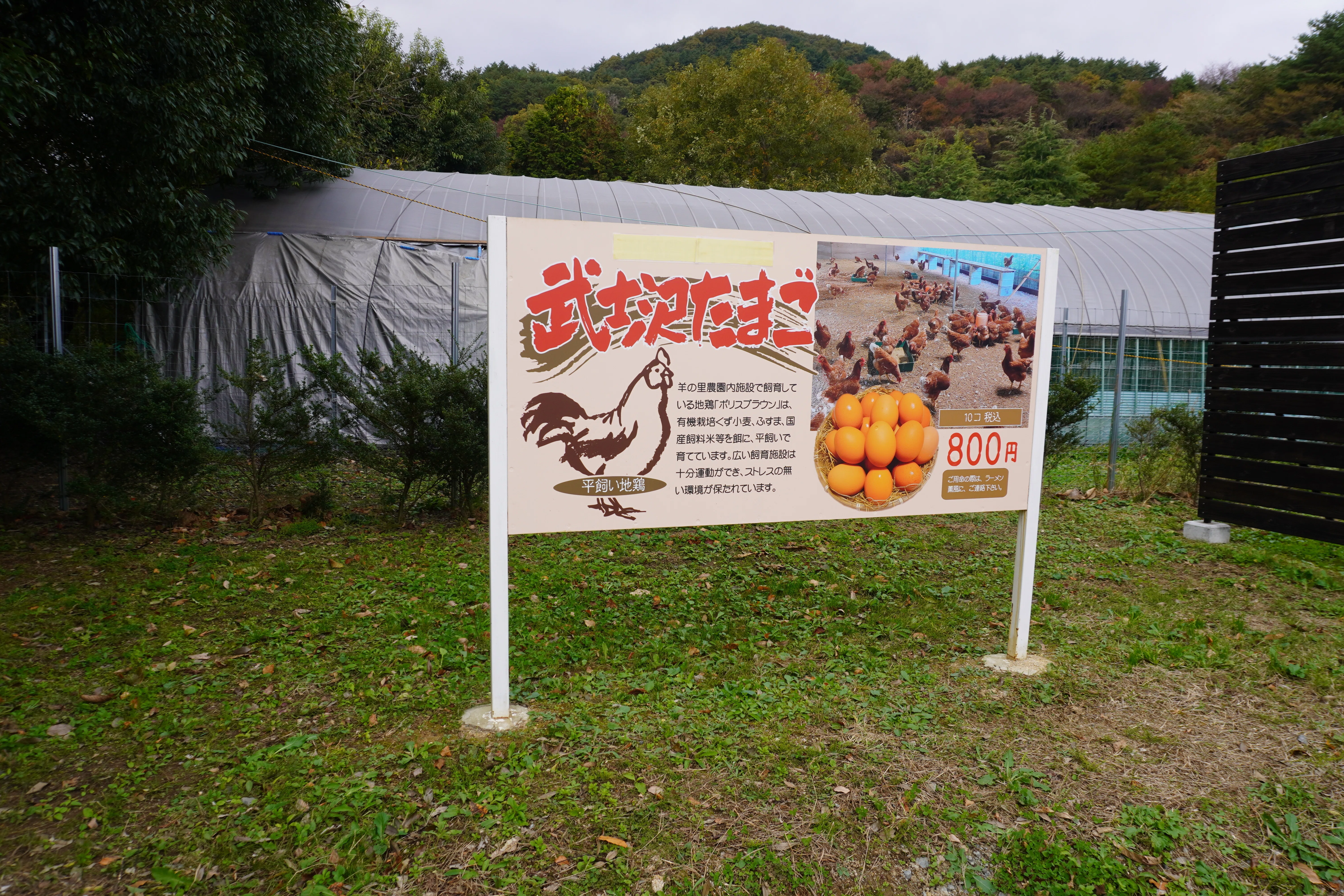 ZASO:238】福島県 #緑の風農園｜ZASOちゃんねる
