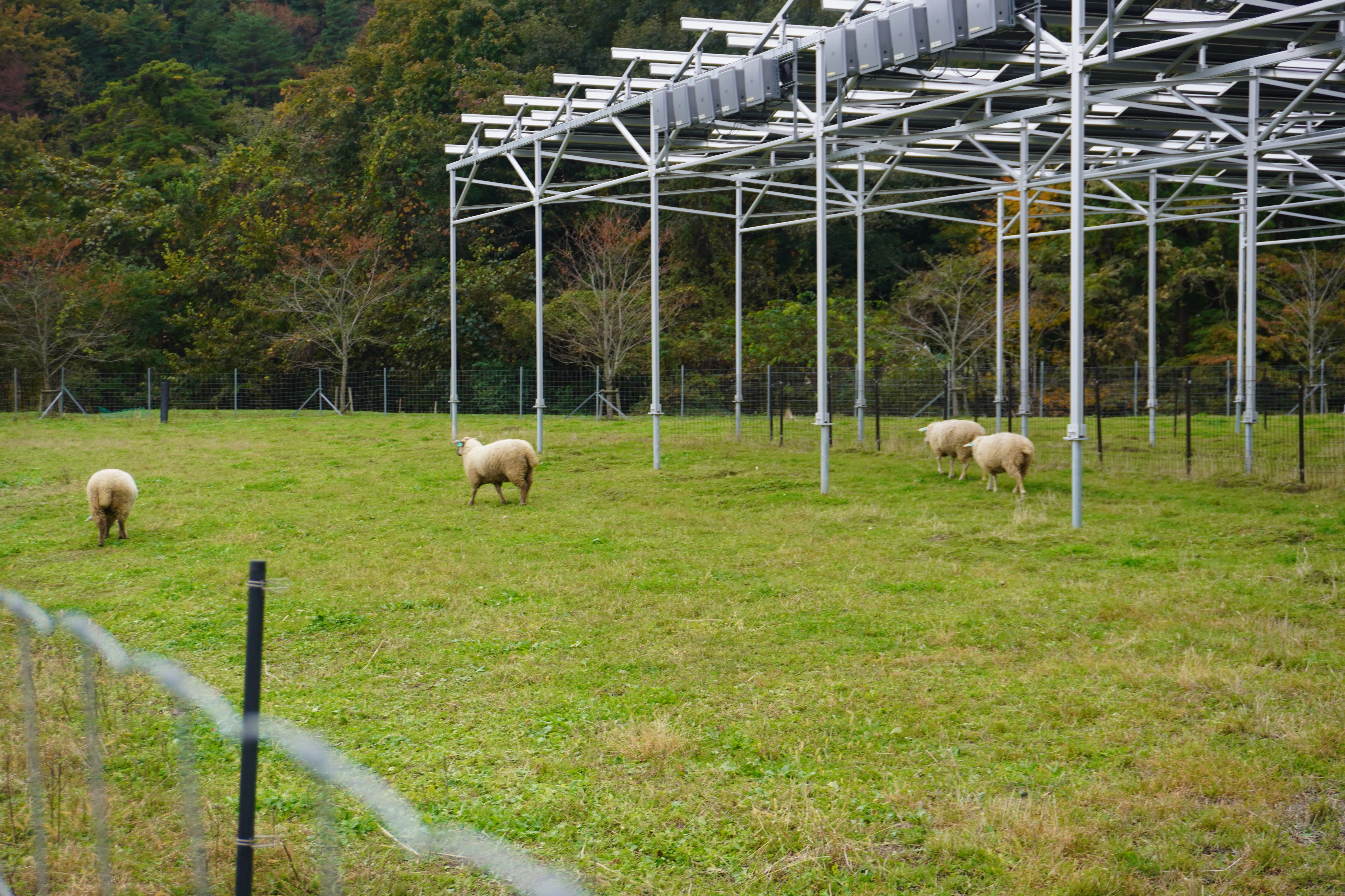 ZASO:238】福島県 #緑の風農園｜ZASOちゃんねる