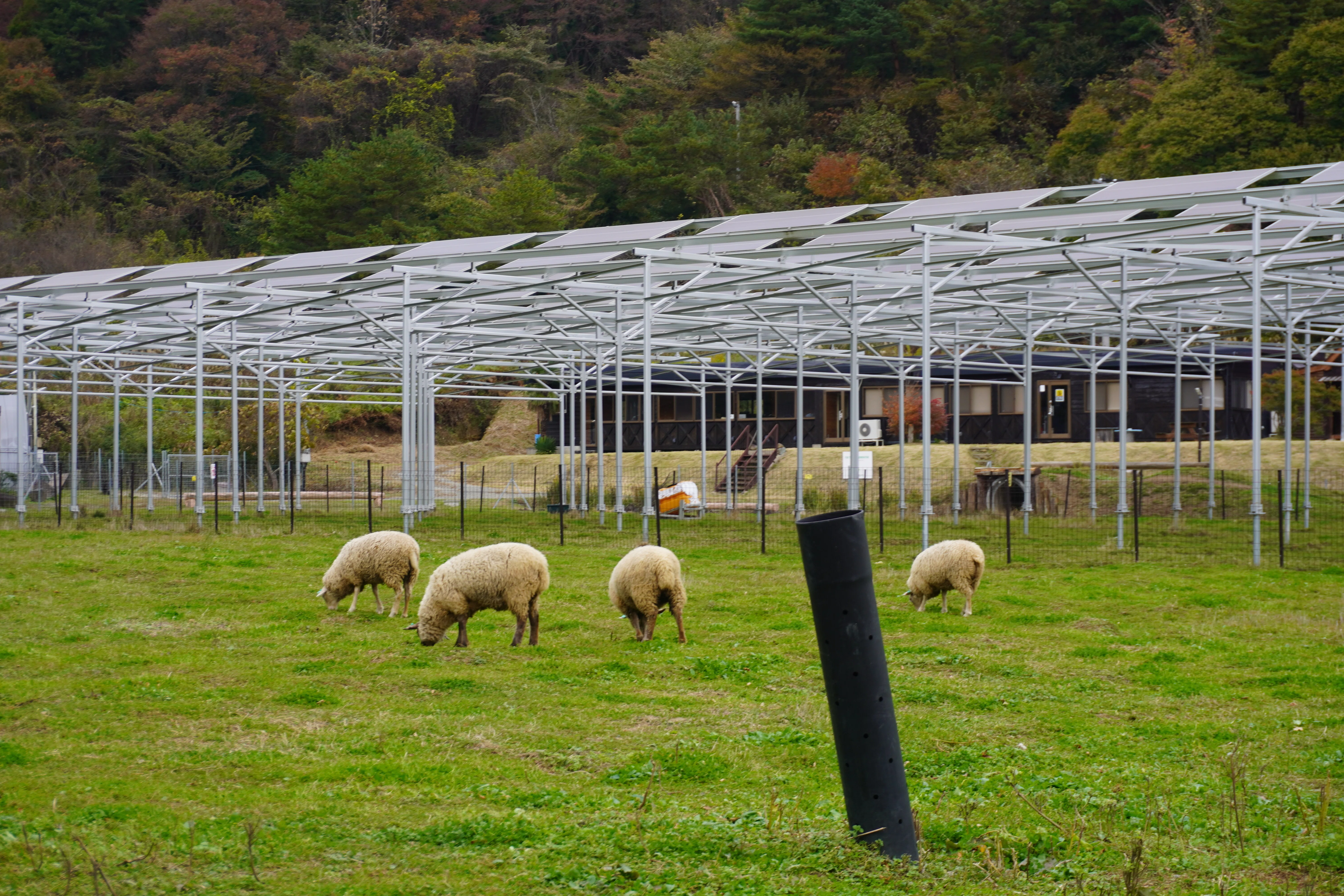 ZASO:238】福島県 #緑の風農園｜ZASOちゃんねる