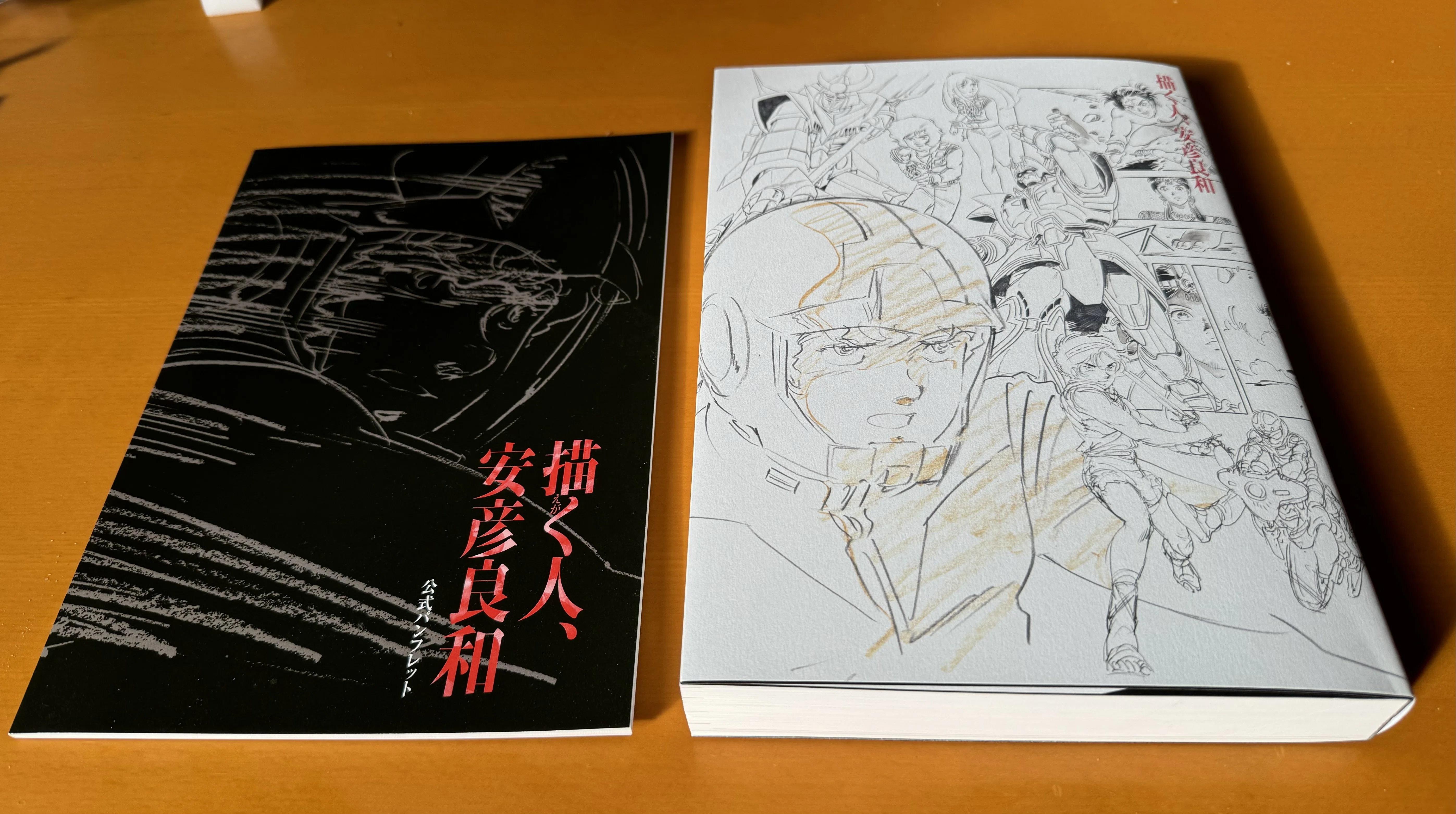 展示】描く人、安彦良和」展｜篠 直美