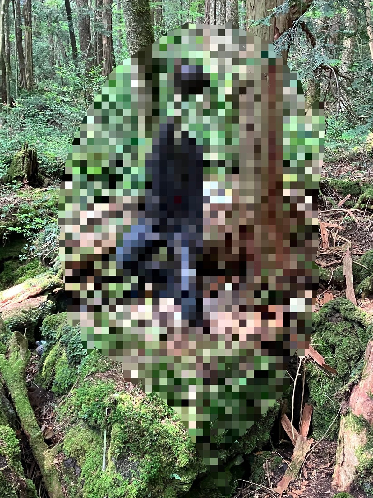 自殺　死体  