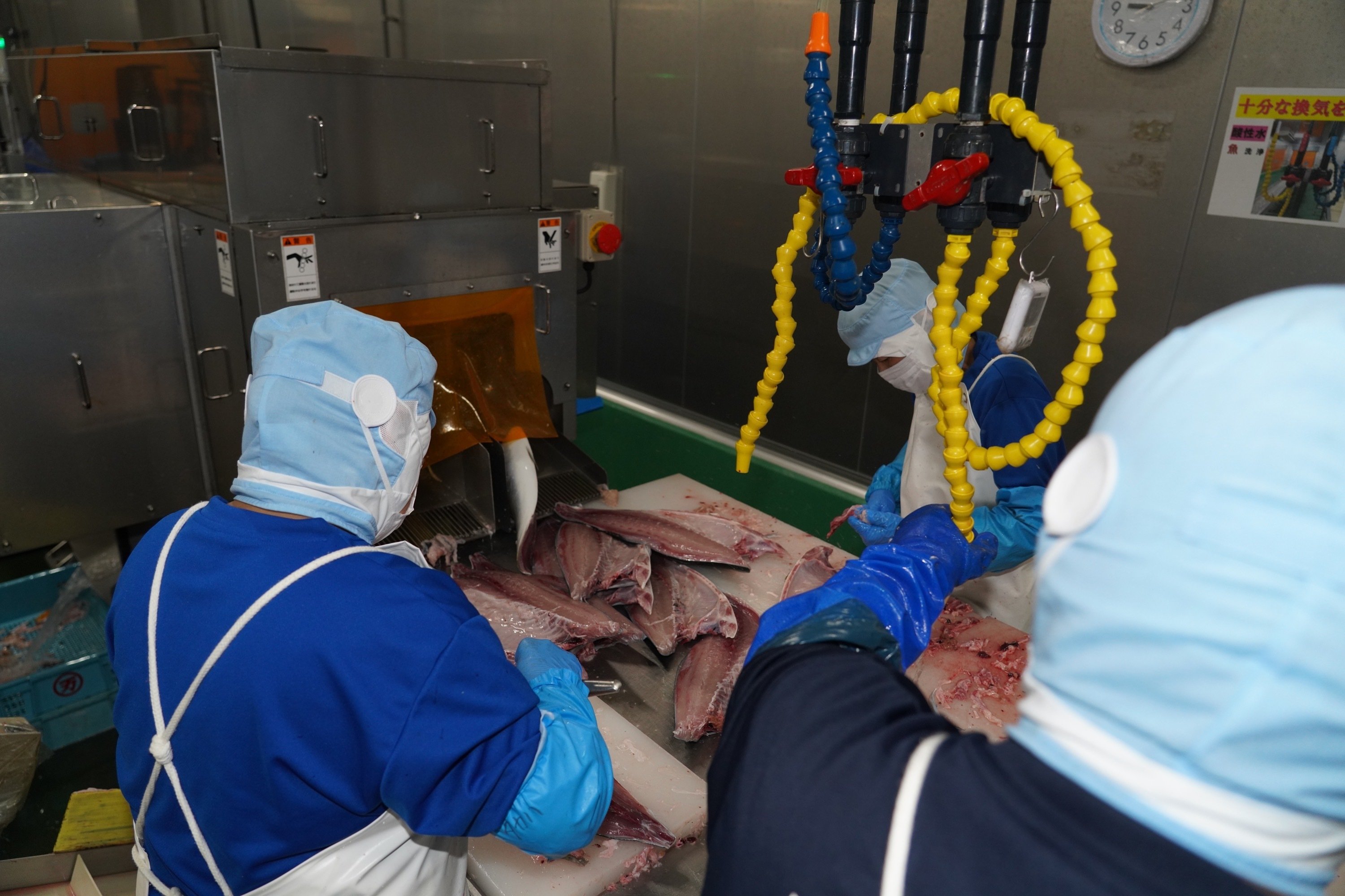 信頼を紡ぎ、現場とともに歩む若き工場長の挑戦｜山田水産