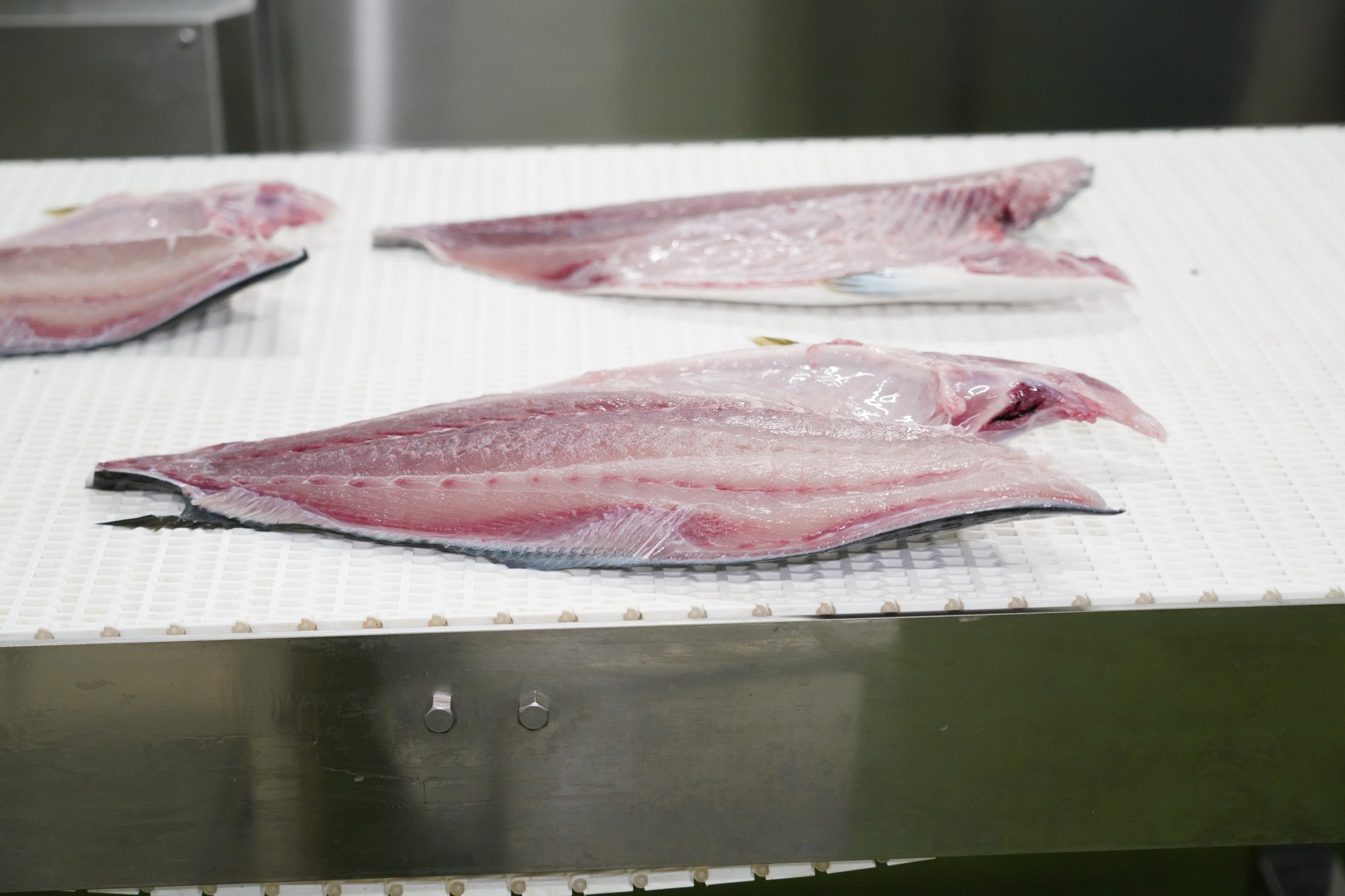 信頼を紡ぎ、現場とともに歩む若き工場長の挑戦｜山田水産