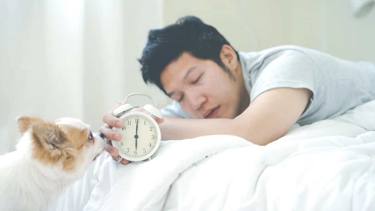 朝起きるのがつらいあなたへ!朝の目覚めを劇的に変える6つの習慣|BODY Change ブレスマスター 矢川 純
