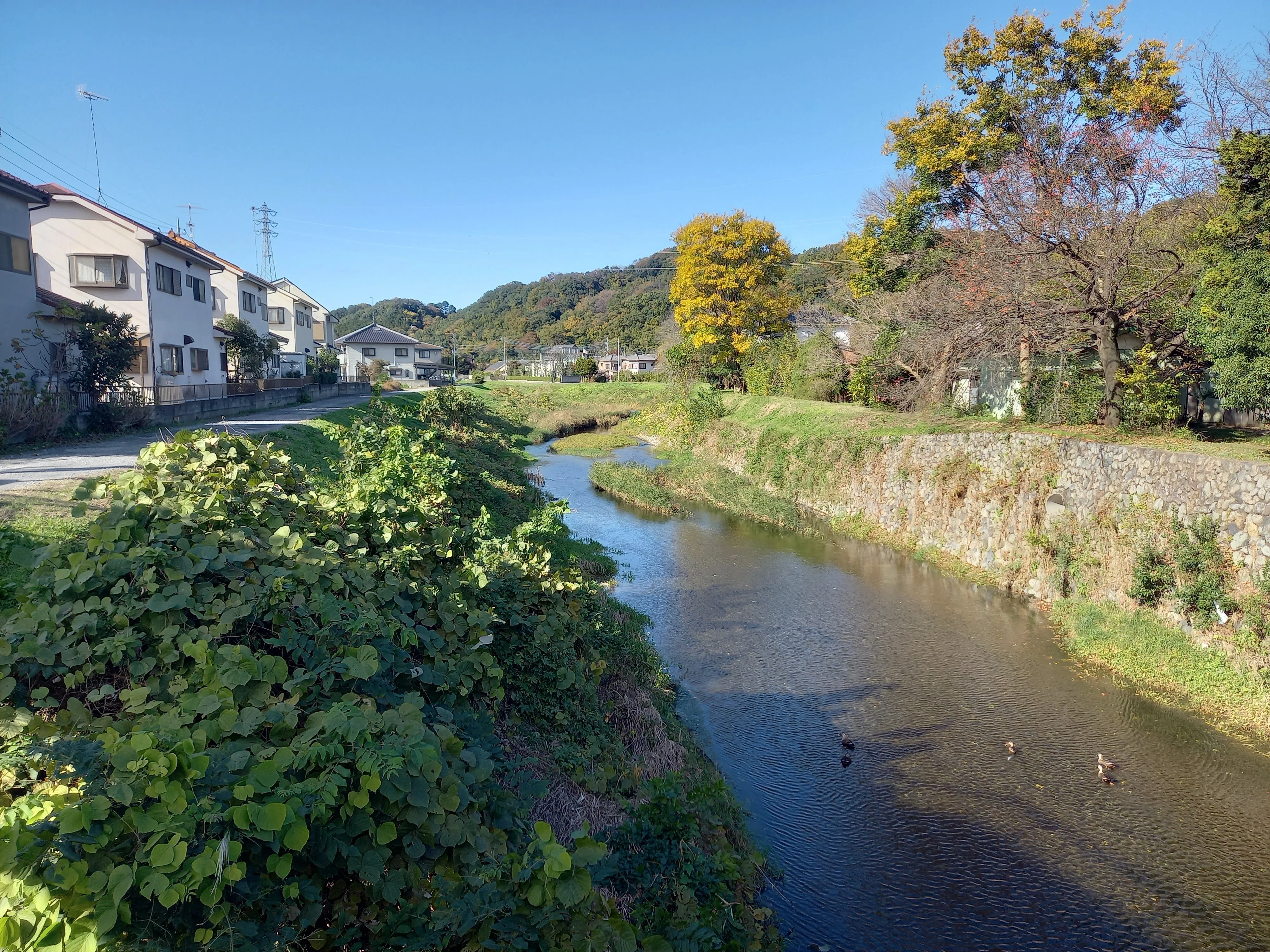 山と川のある風景｜瑞希
