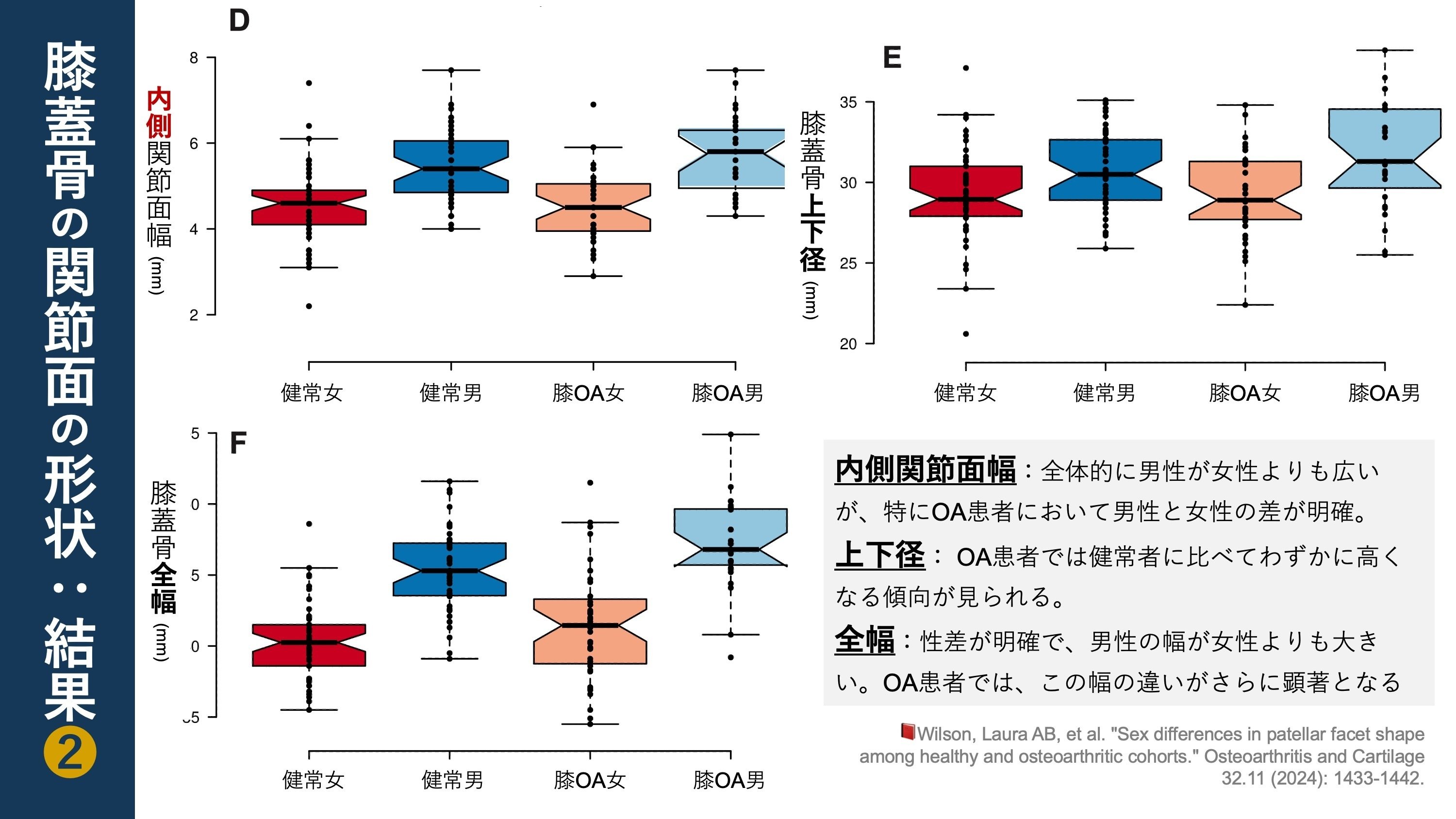 膝蓋骨関節面の形状。性差、膝OAによる影響｜Super Human | 理学療法士