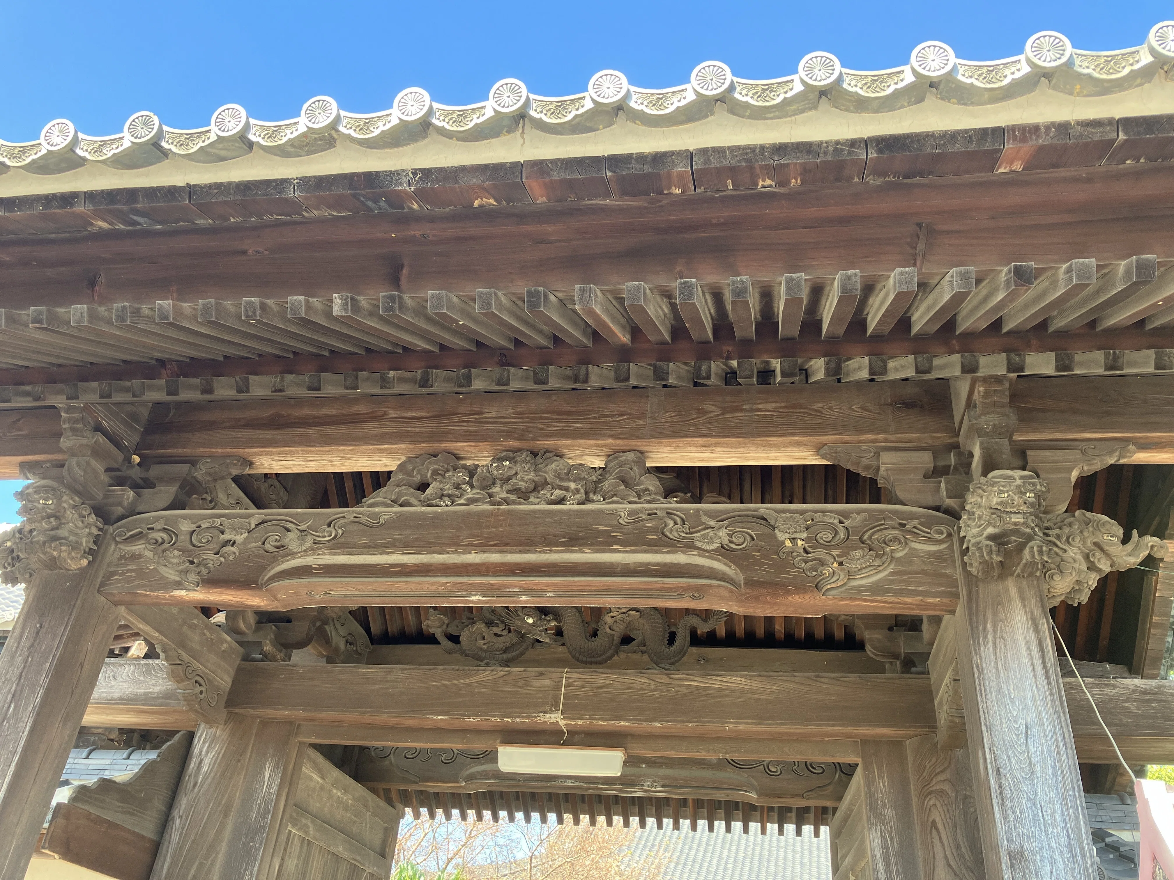仏閣巡り】三河鈴木氏の祖・善阿弥殿がご開基の光恩寺・龍興寺（愛知県