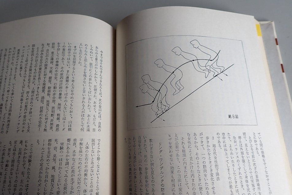 Amazon.co.jp: 動物紳士録 (中公文庫 M 95-2) : 西丸 震哉: 本