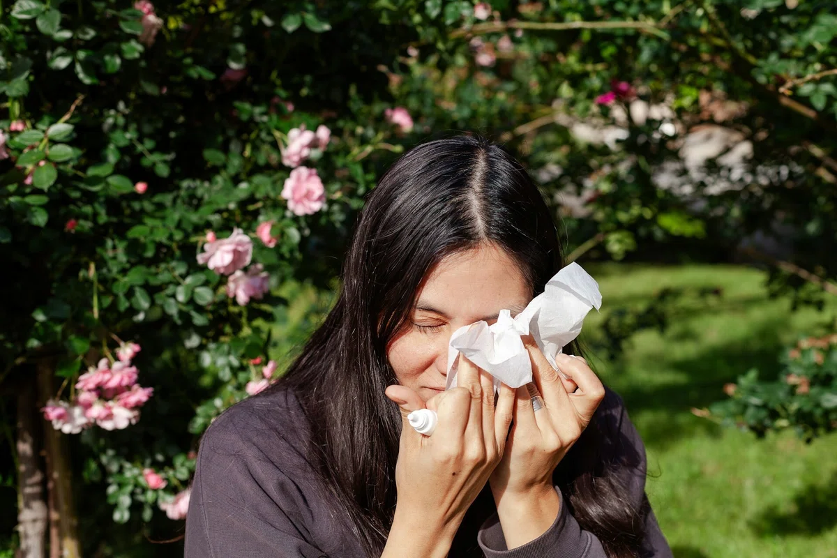 New Common Sense for Hay Fever Relief! A Summary of the Latest ...