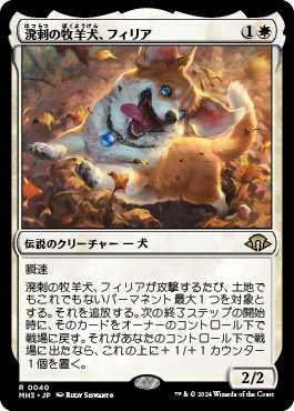 意志を縛る者、ディハーダ　統率者デッキ　構築済み　100枚セット　EDH MTG DMC)意志を縛る者、ディハーダ(掲示用)(エッチング)(F)/DIHADA BINDER