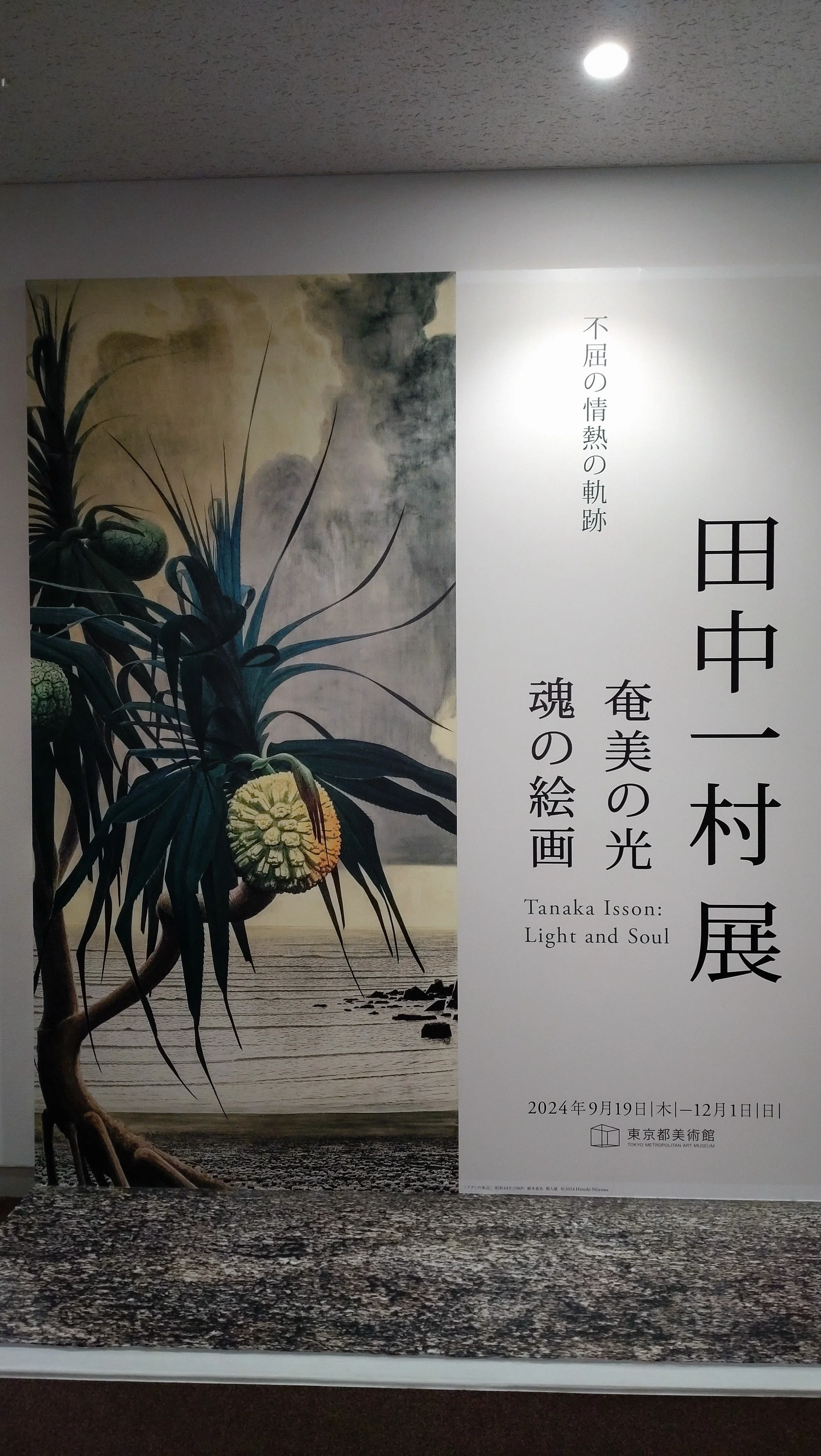 東京都美術館「田中一村展 奄美の光 魂の絵画」感想と見どころ｜ひこたか