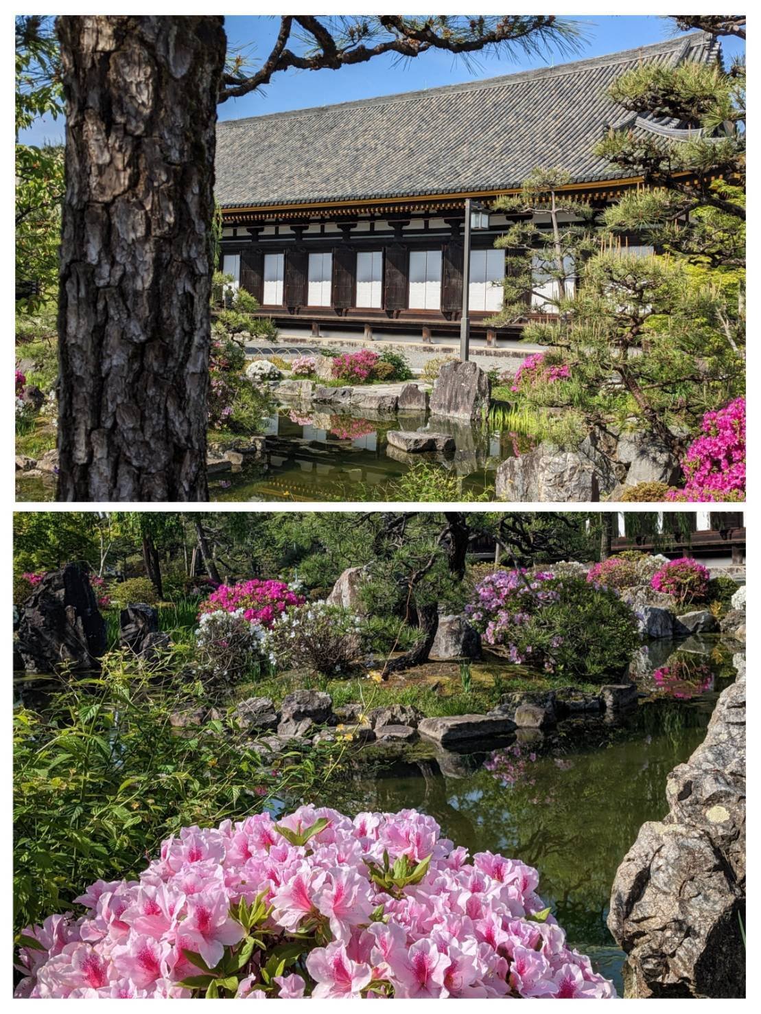 よくばり近畿の旅⑥清水寺〜想い出の千手観音と京の大仏さま