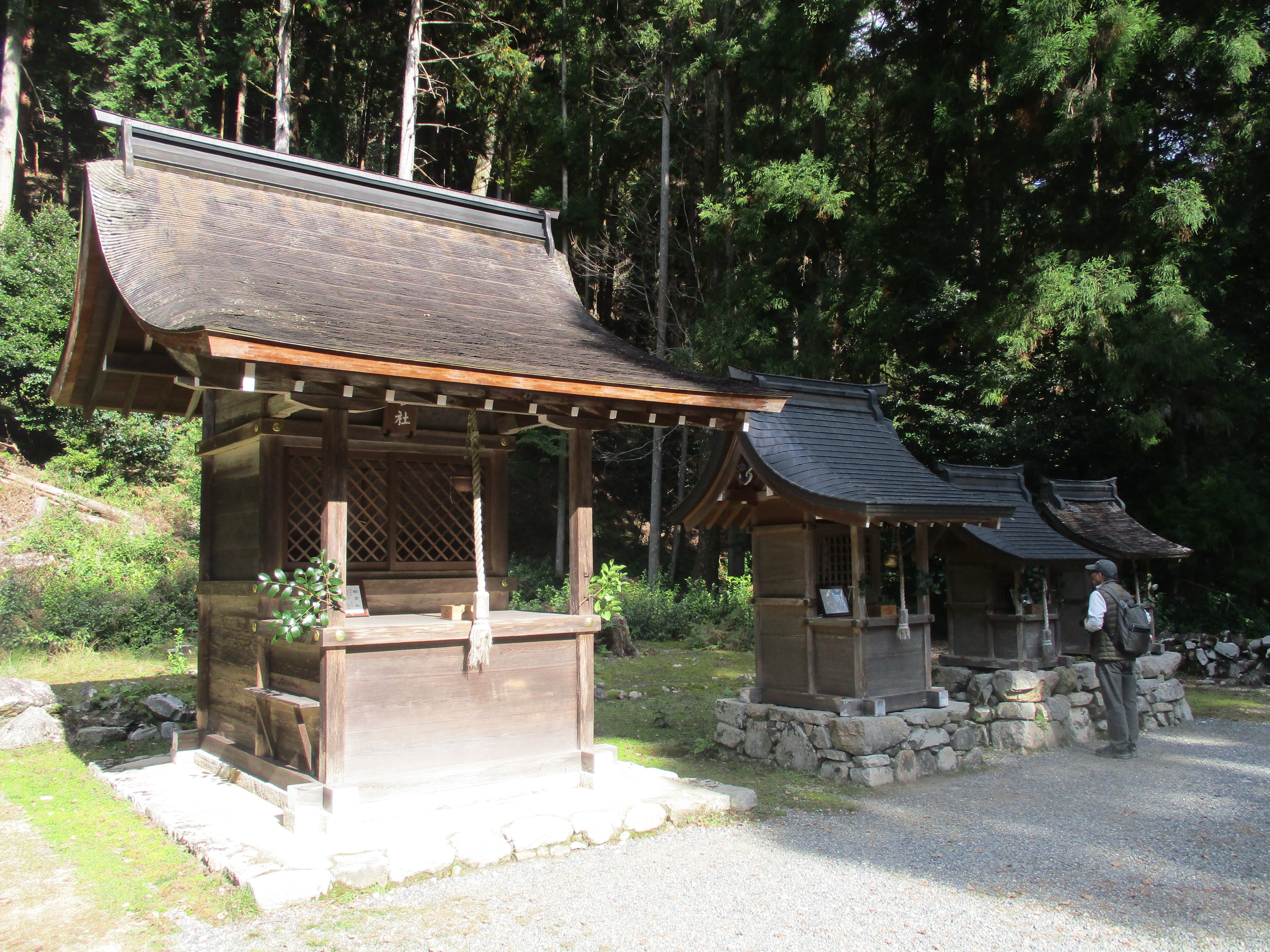 日吉大社」参詣録（＆紅葉狩り）【滋賀県・大津市】｜GEnKU