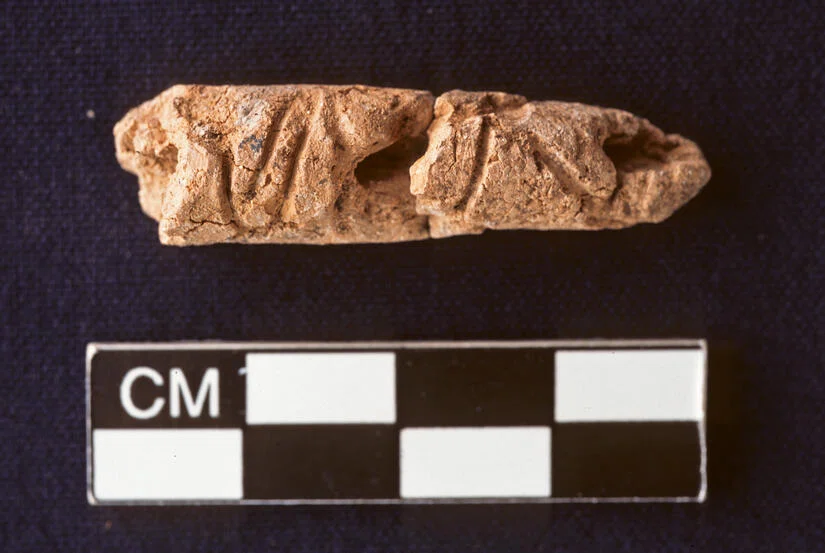シリアの古代遺跡から世界最古のアルファベットを発見、既知のものから