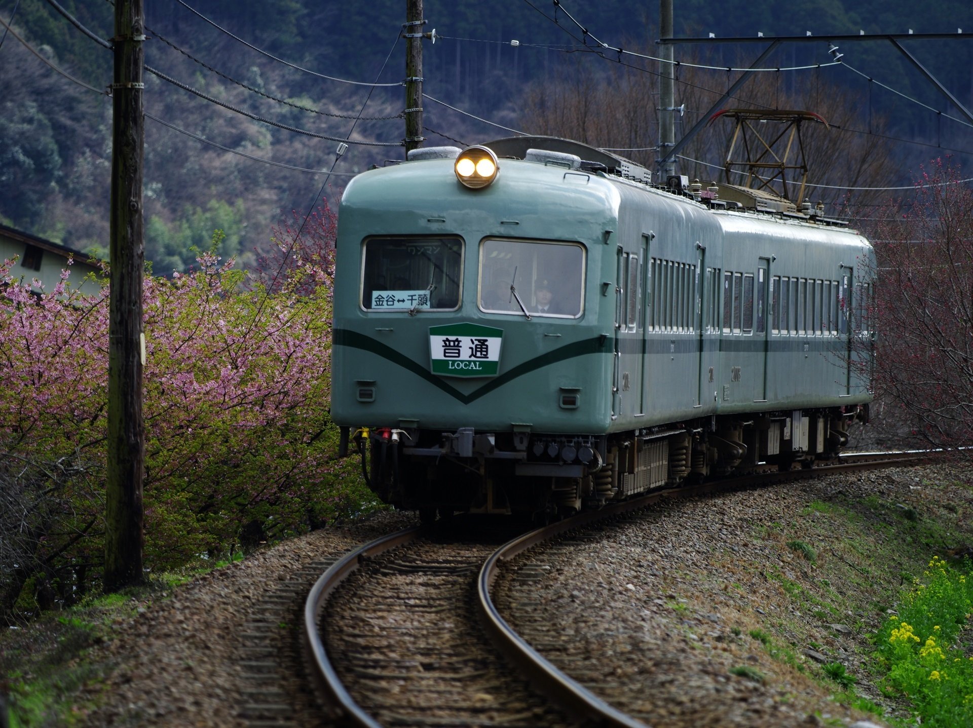 蒸気機関車の重連運転 ～撮影旅行よもやま話集～｜綺麗な風景写真が