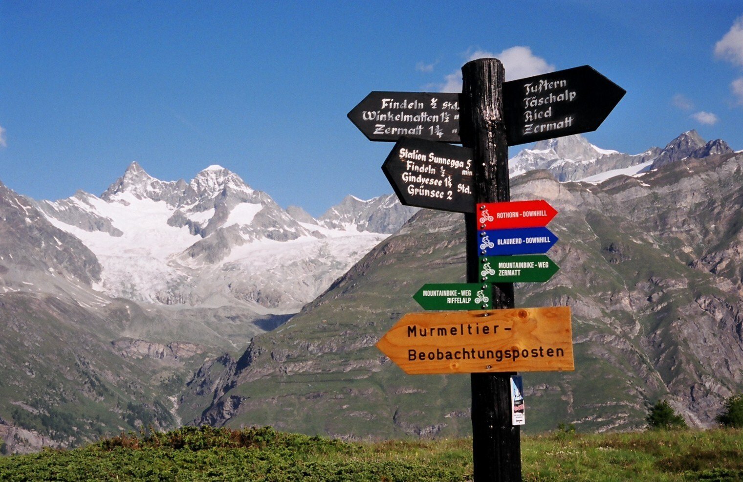 アルプスの花｜Romi