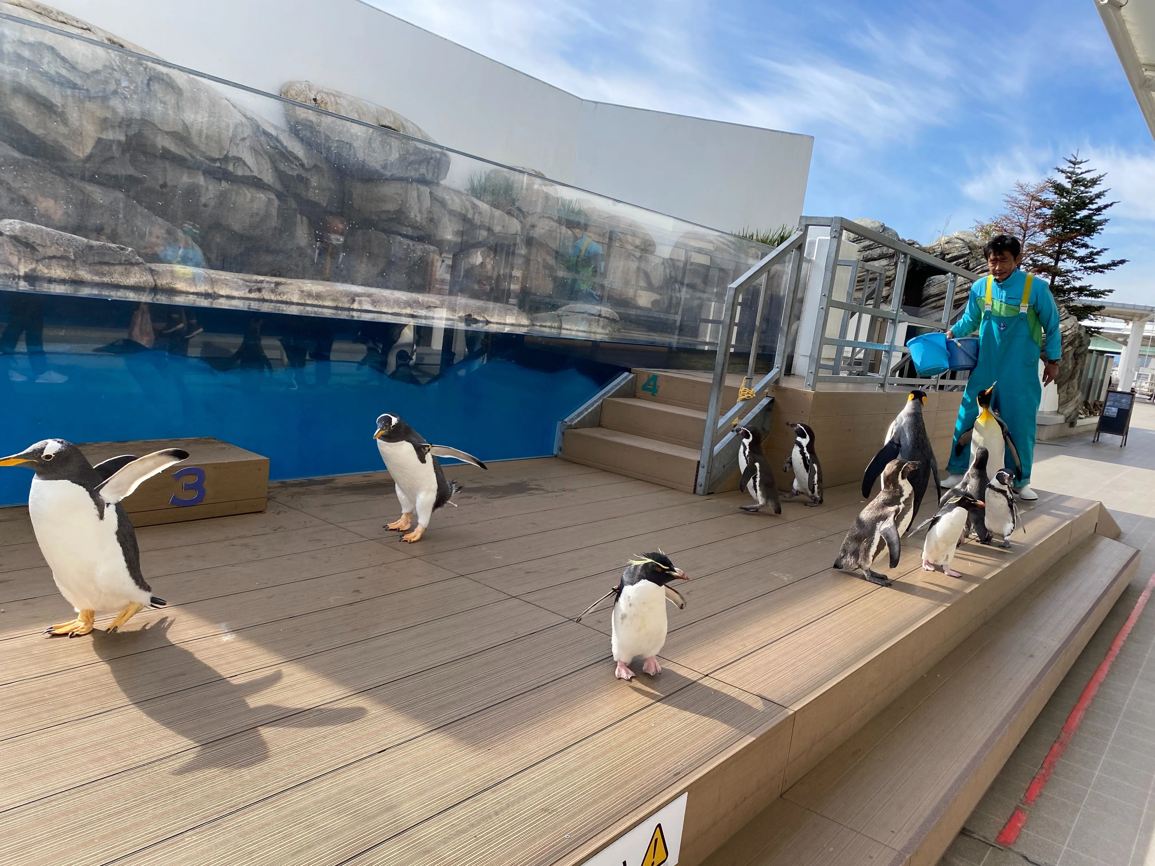 冬といえば｜仙台うみの杜水族館