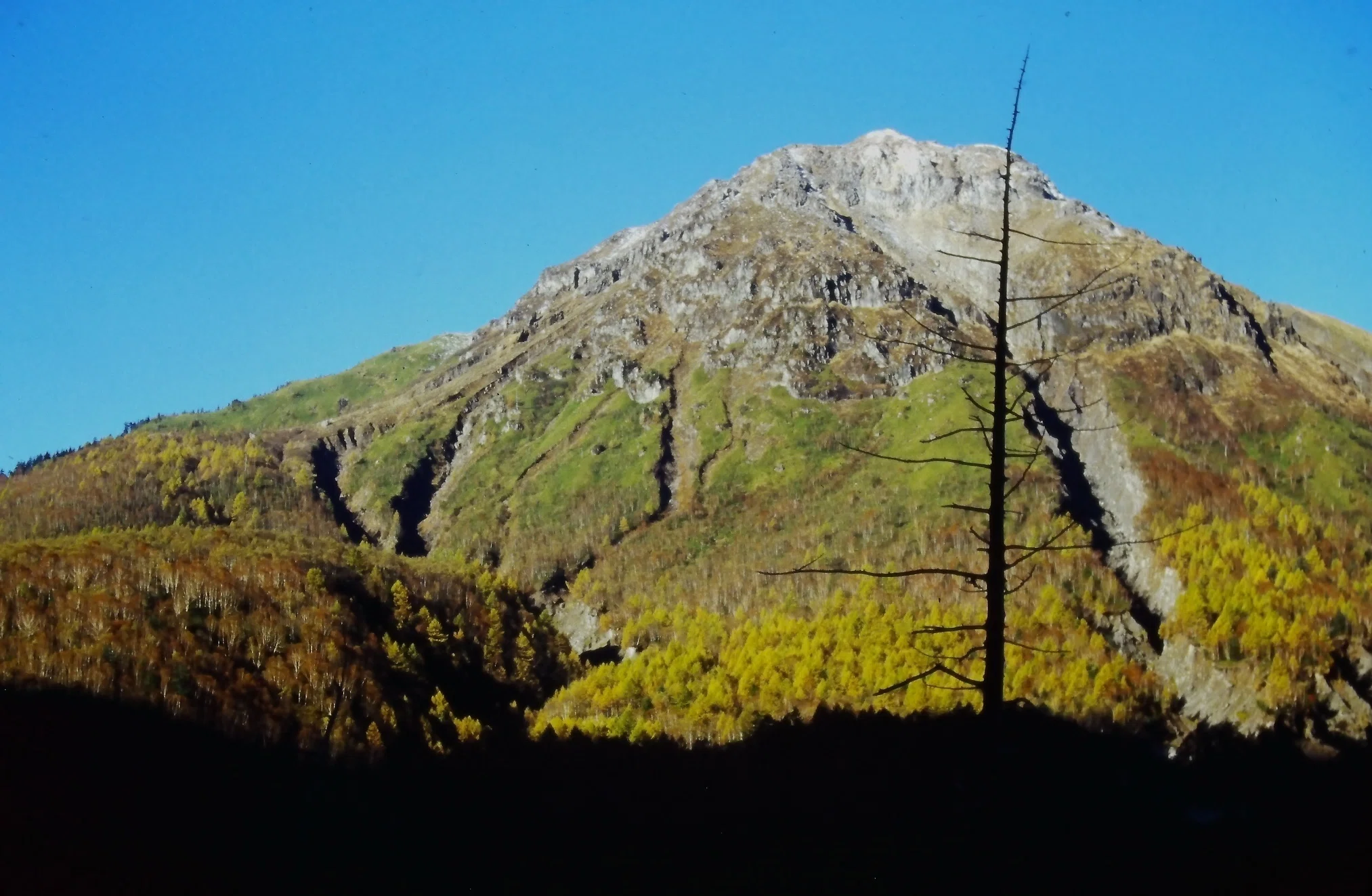 上高地　秋の焼岳　斎藤俊雄　油彩画 秋の上高地 1990｜川北 裕之