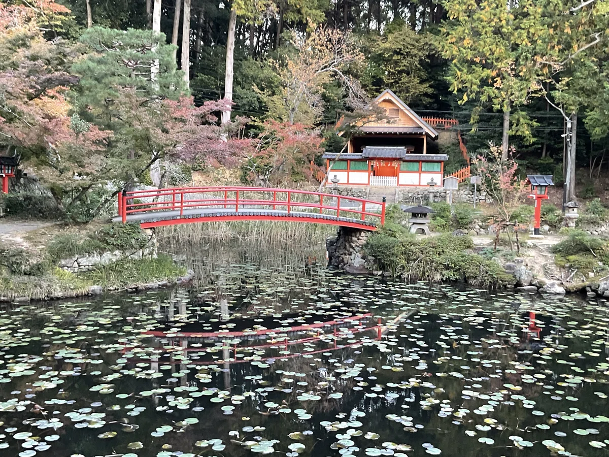 北杜・鶴ウイング 合計12本 熱っぽく