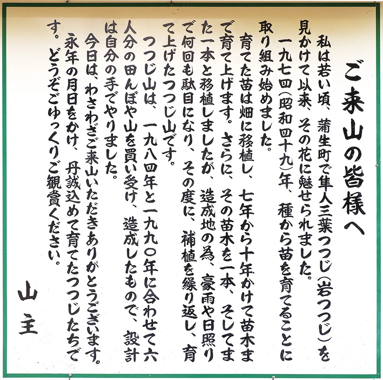72．苦節50年で造った1haの岩つつじ山｜sasayan