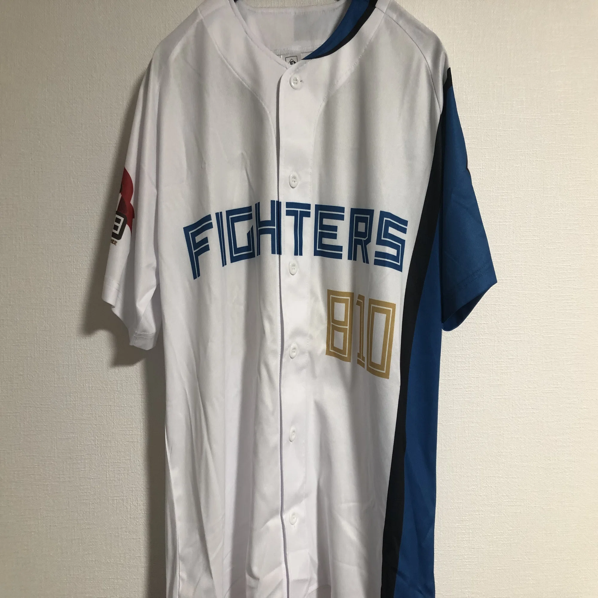 私家版・プロ野球ユニフォーム史 2022-2024 Vol.1 北海道日本ハム 