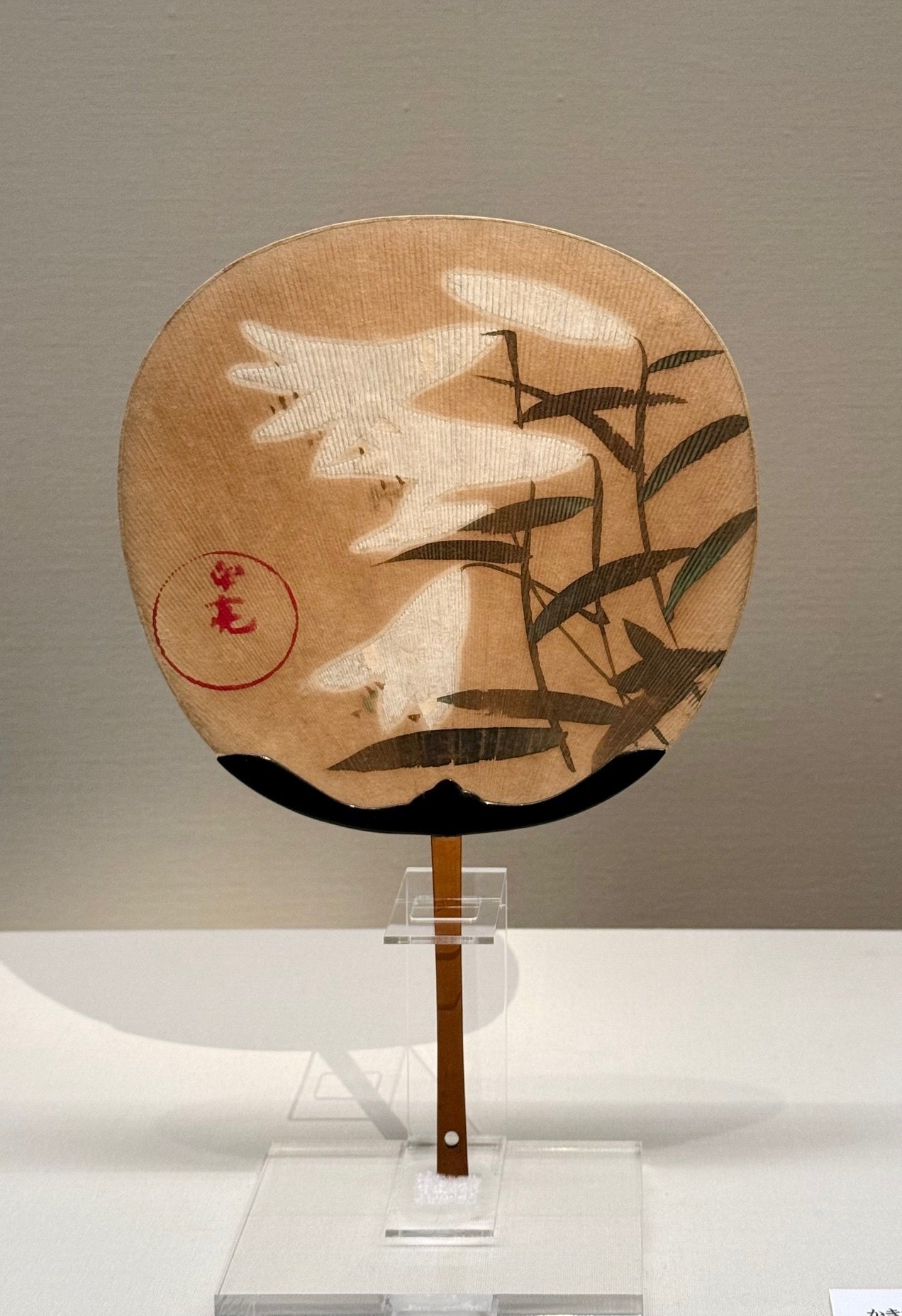 尾形光琳の花々 @MOA美術館｜山葡萄と小茄子