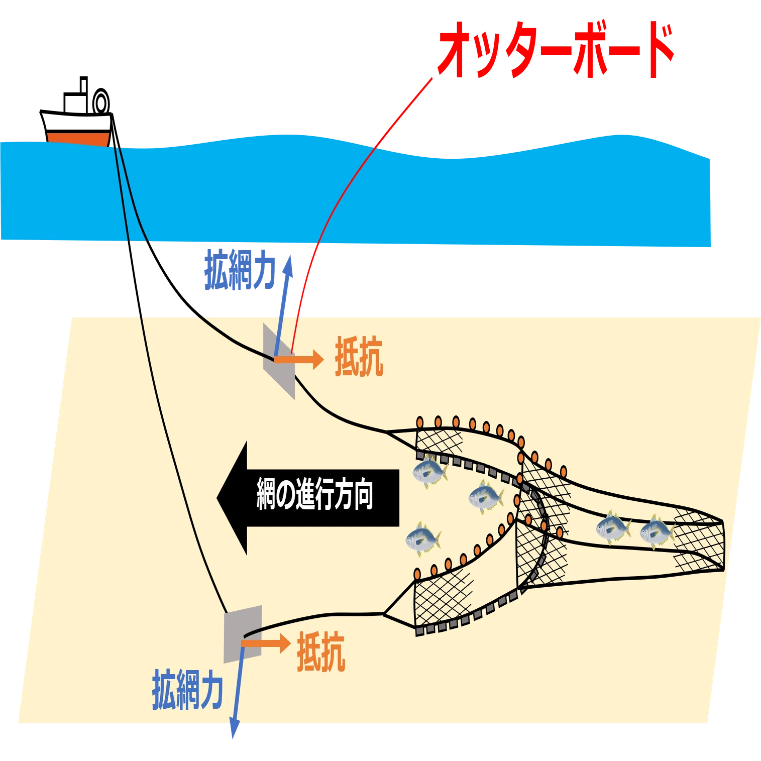 漁具工学という研究分野｜Y. Takahashi