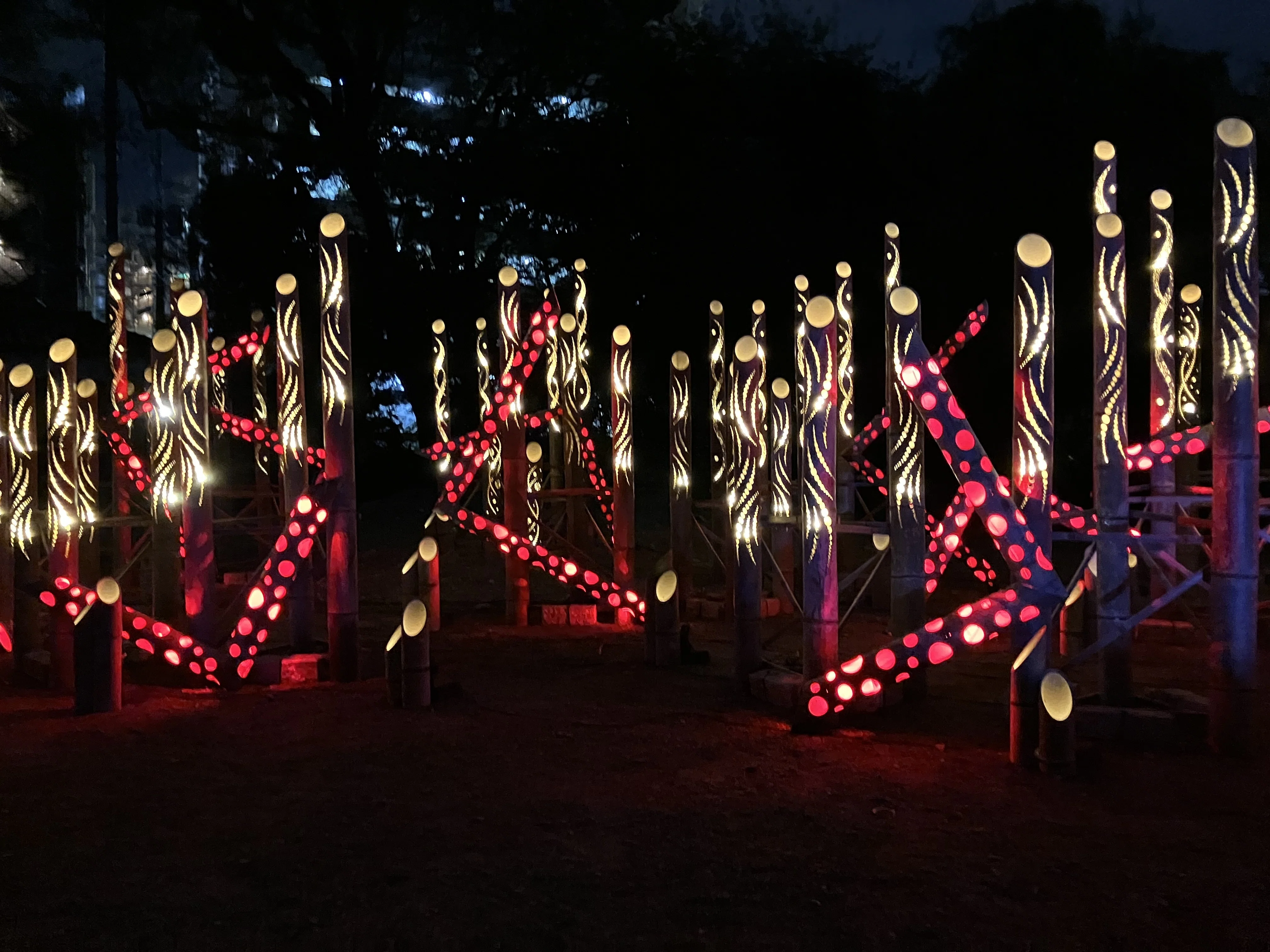 細川ガラシャと400年の時を超えて〜 Lux Night KUMAMOTO 2024
