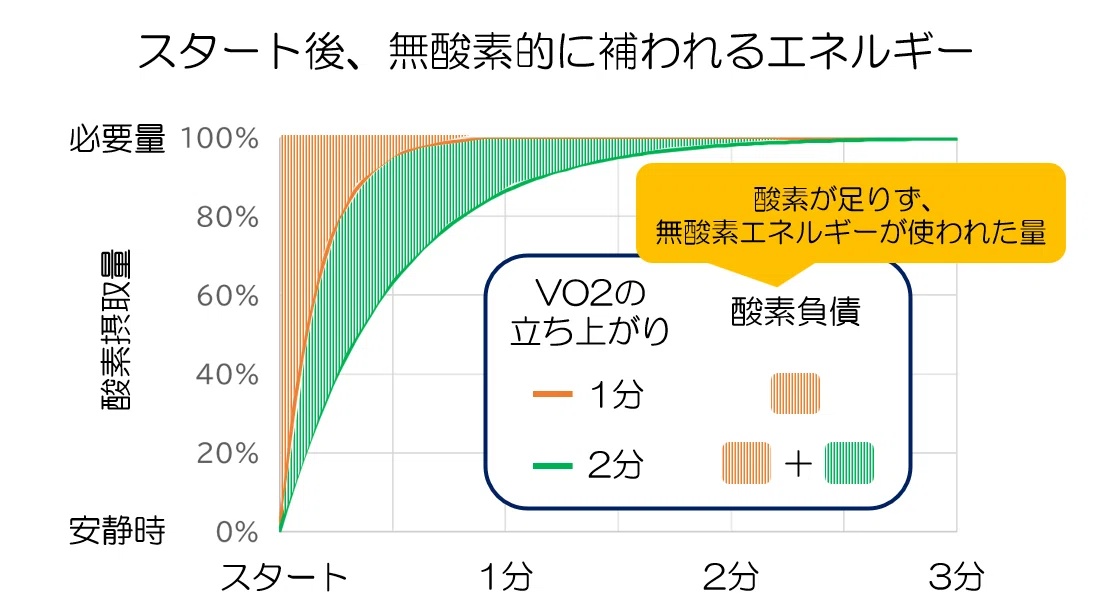 酸素摂取量（VO2）を理解する｜KAWASAKI
