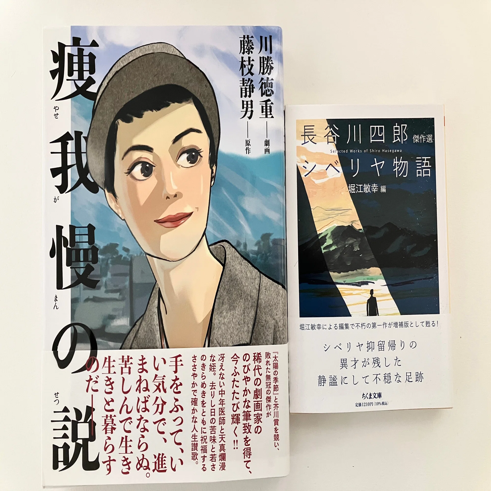 本は静かに積み上がる（2024/11）｜北海道大学出版会
