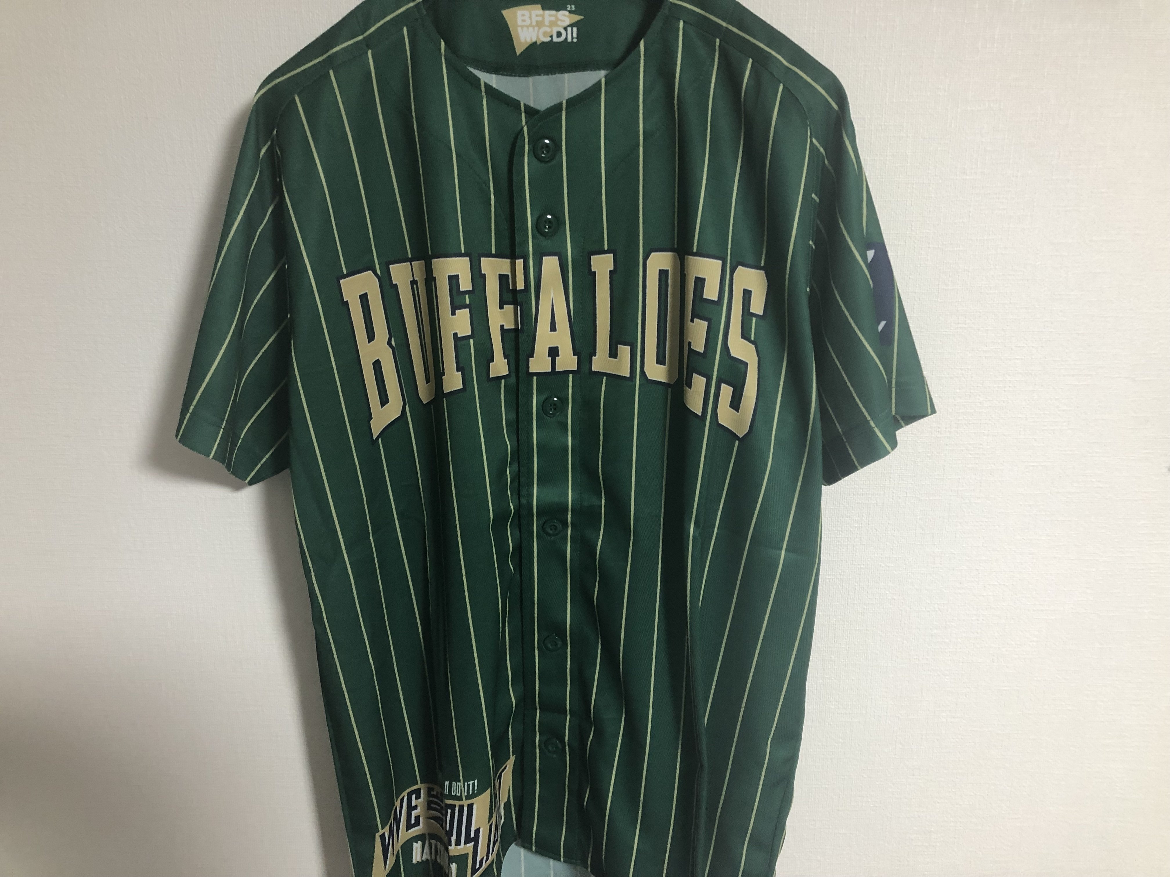 私家版・プロ野球ユニフォーム史 2022-2024 Vol.5 オリックス