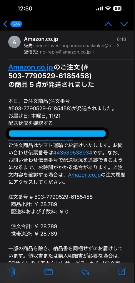 Amazonのアカウントが乗っ取られ見知らぬ請求が来た話｜ろびん