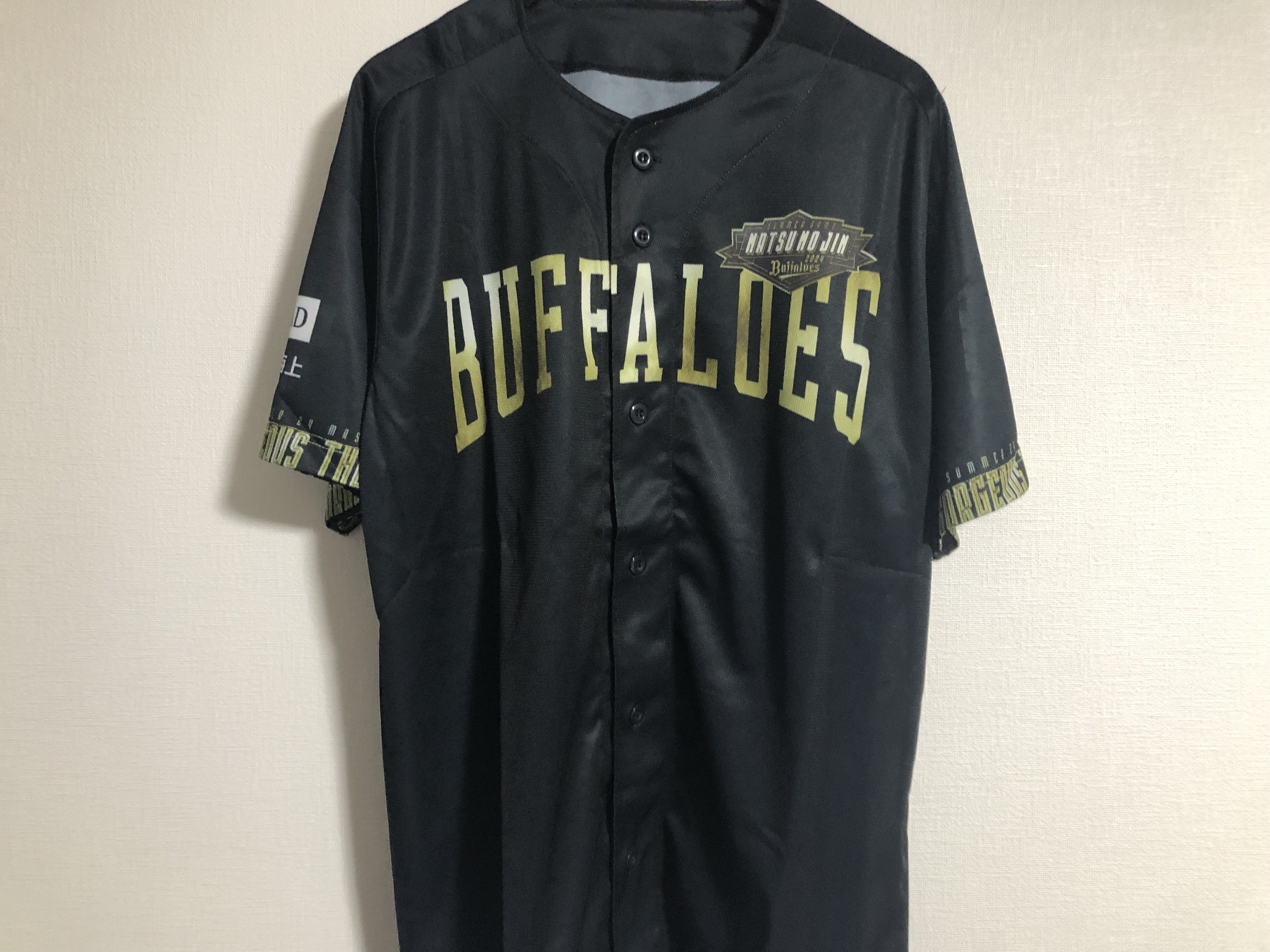 私家版・プロ野球ユニフォーム史 2022-2024 Vol.5 オリックス