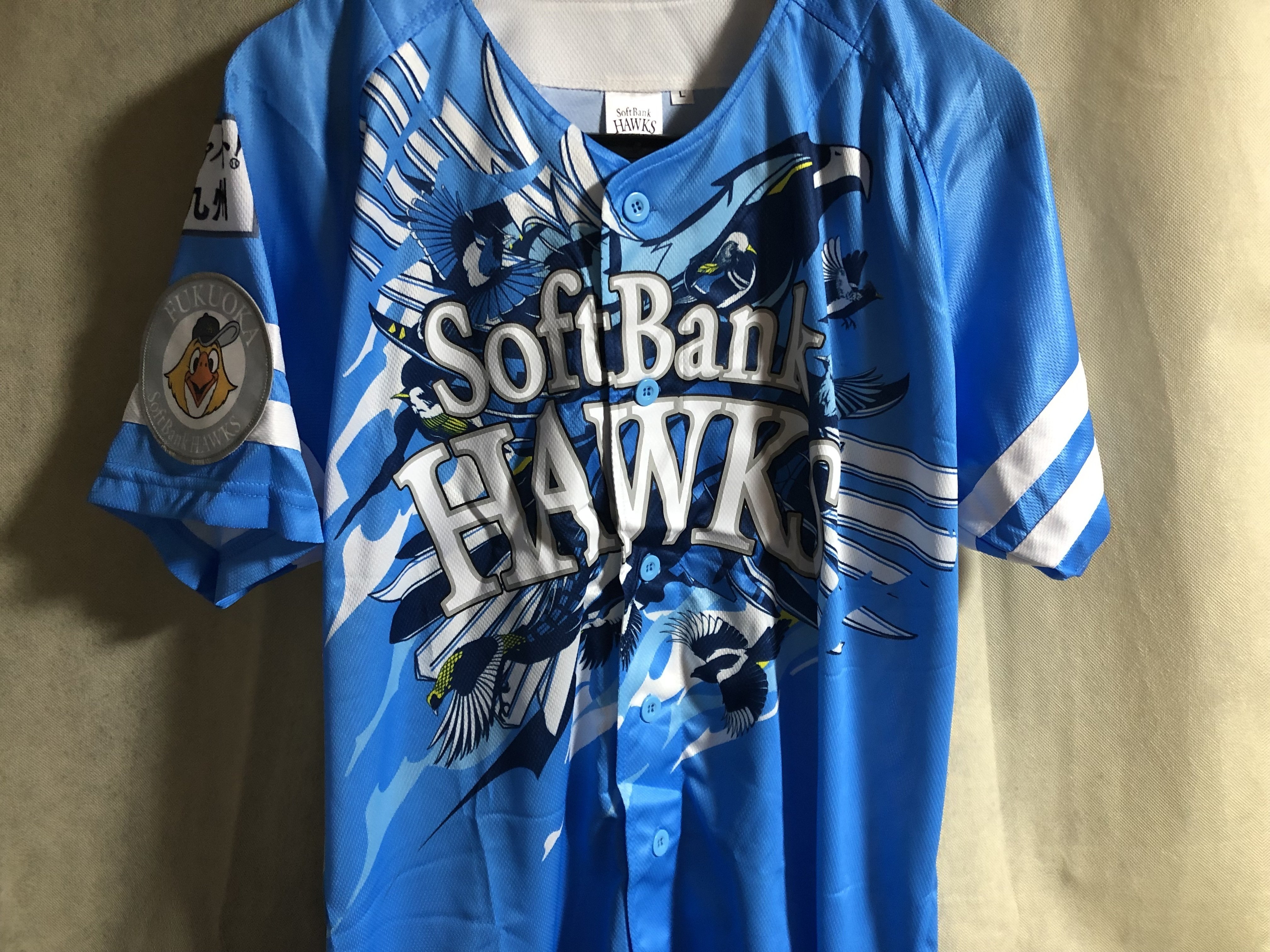 私家版・プロ野球ユニフォーム史 2022-2024 Vol.6 福岡 私家版・プロ野球ユニフォーム史 2022-2024 Vol.6 福岡