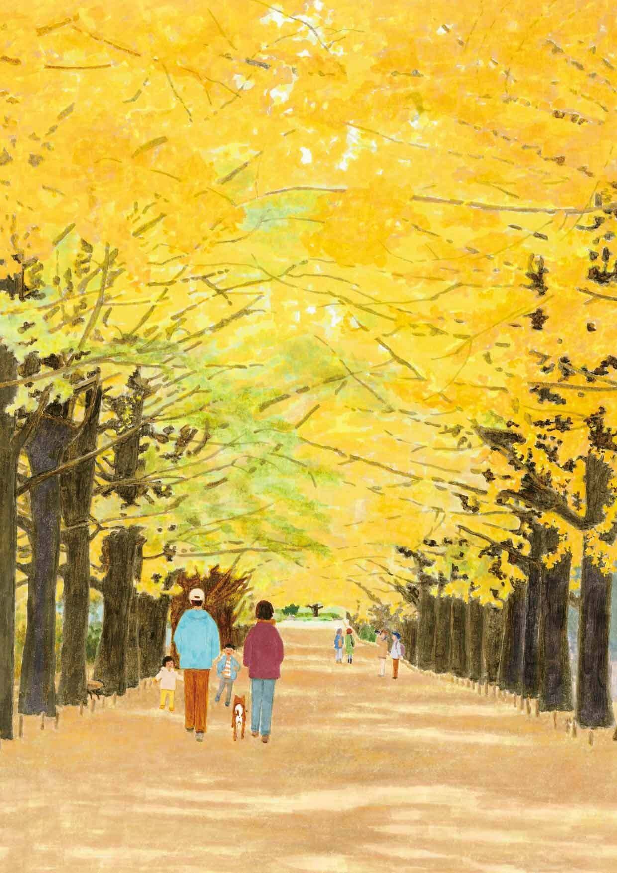 かたらいのイチョウ並木」国営昭和記念公園｜おかドド