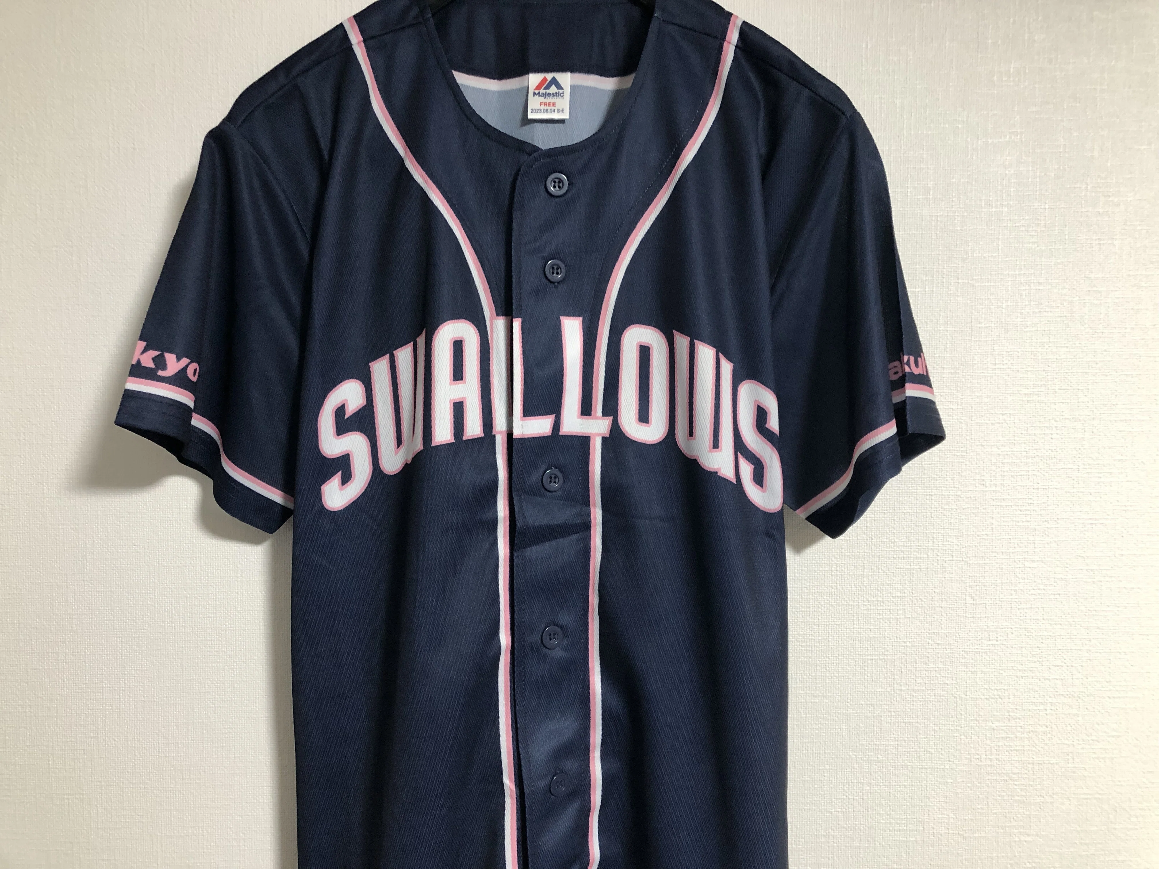 私家版・プロ野球ユニフォーム史 2022-2024 Vol.8 東京ヤクルト