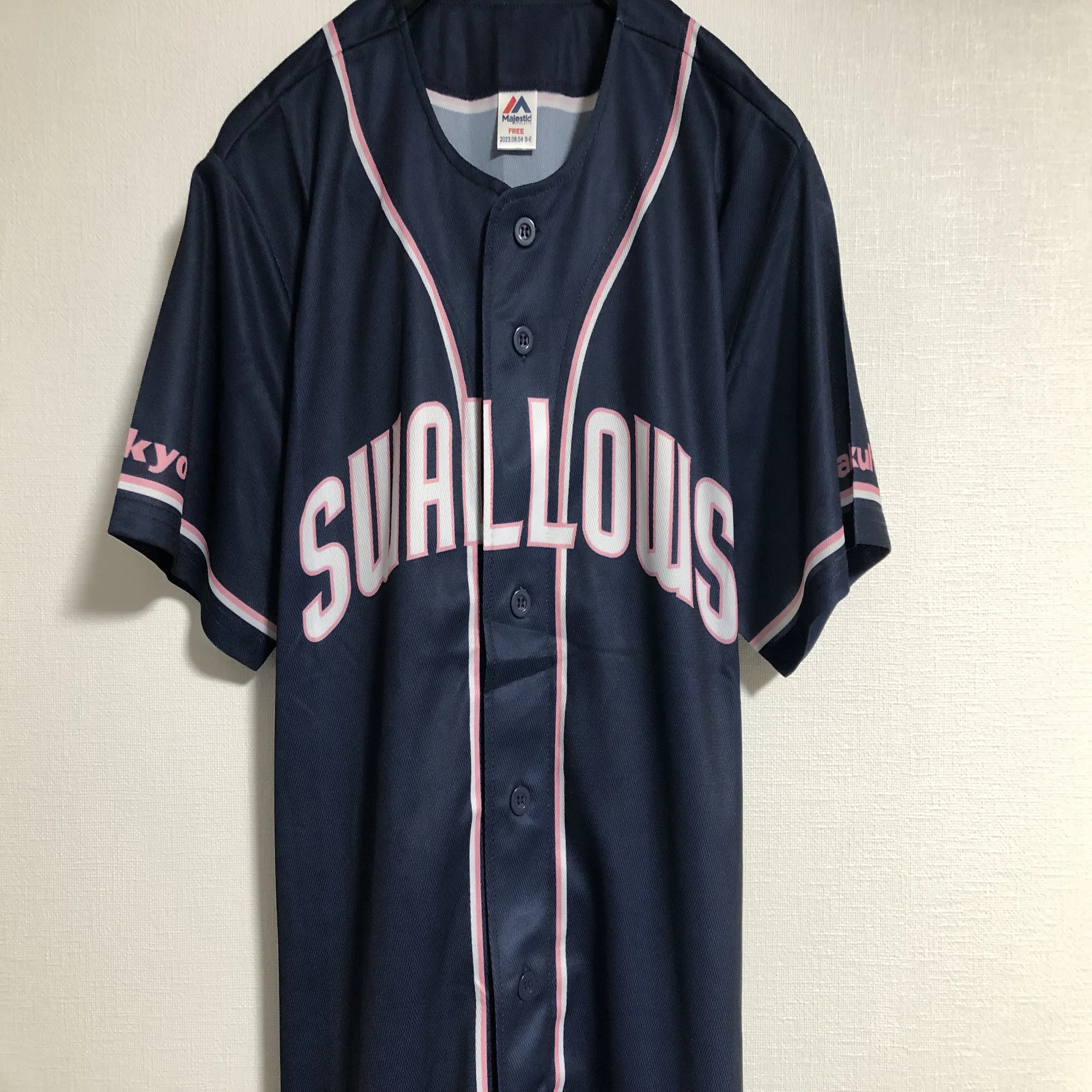 私家版・プロ野球ユニフォーム史 2022-2024 Vol.8 東京ヤクルト 