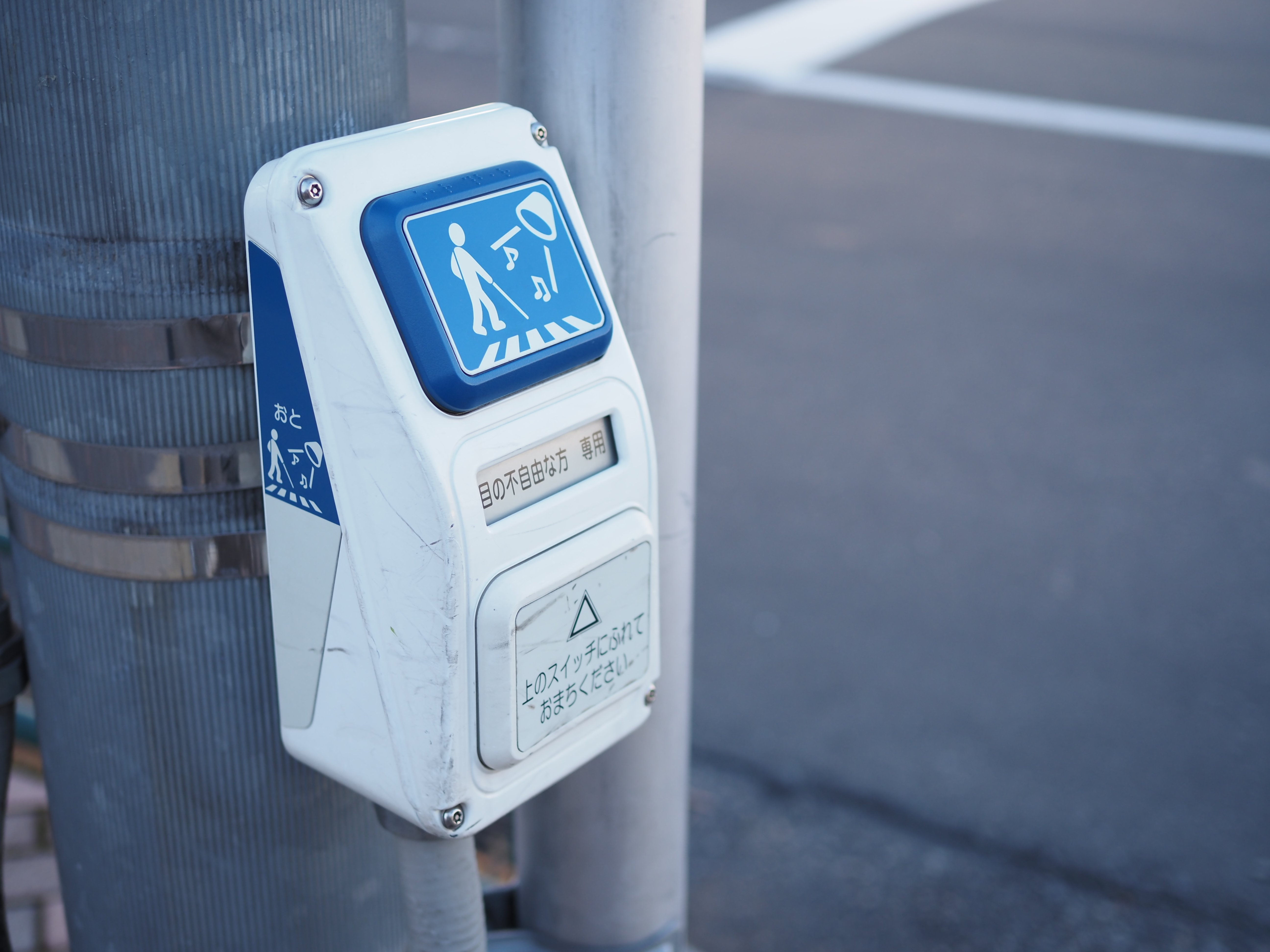 とある休日のスペイン料理【OLYMPUS PEN E-P7】｜てりん