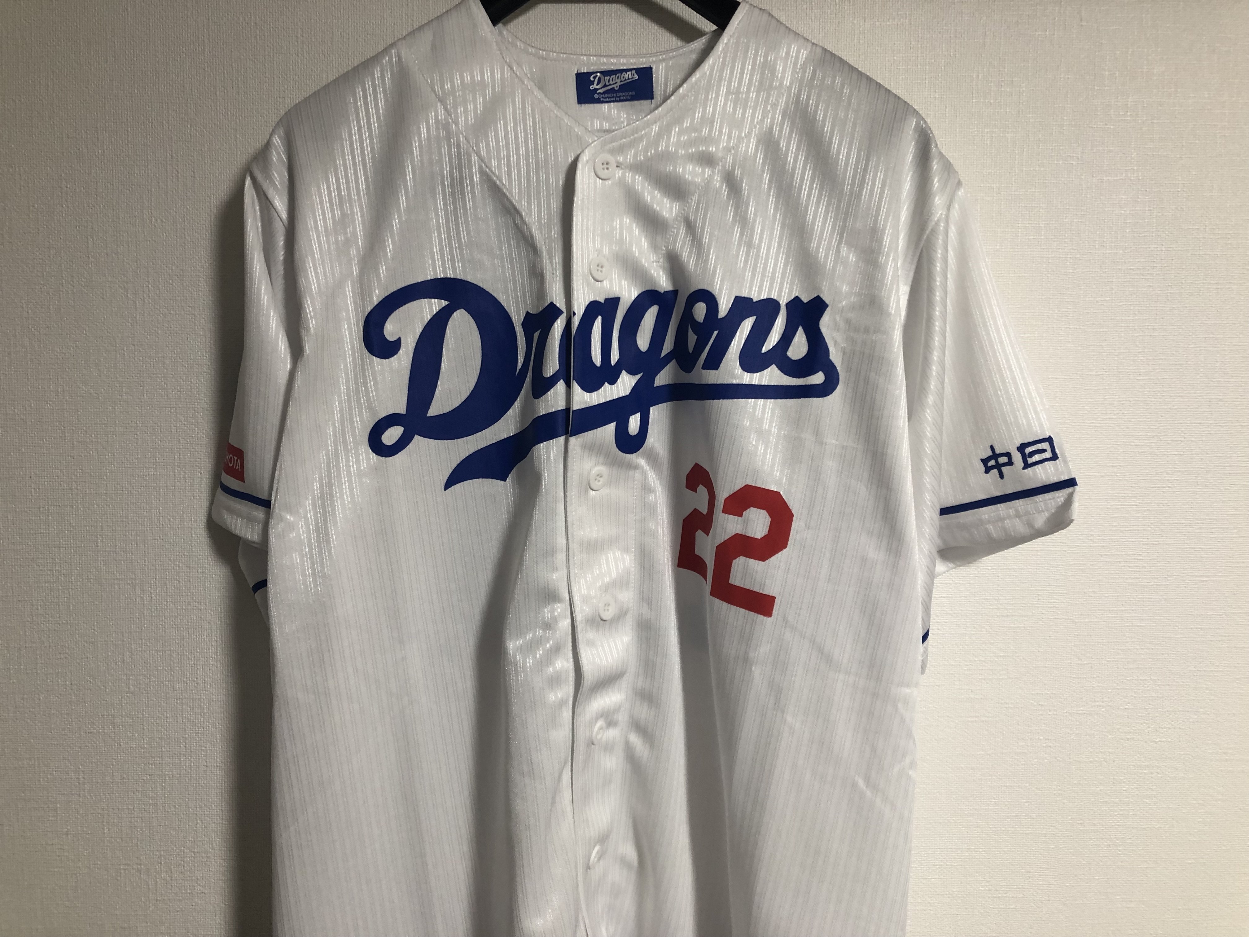 私家版・プロ野球ユニフォーム史 2022-2024 Vol.10 中日 私家版・プロ野球ユニフォーム史 2022-2024 Vol.10 中日