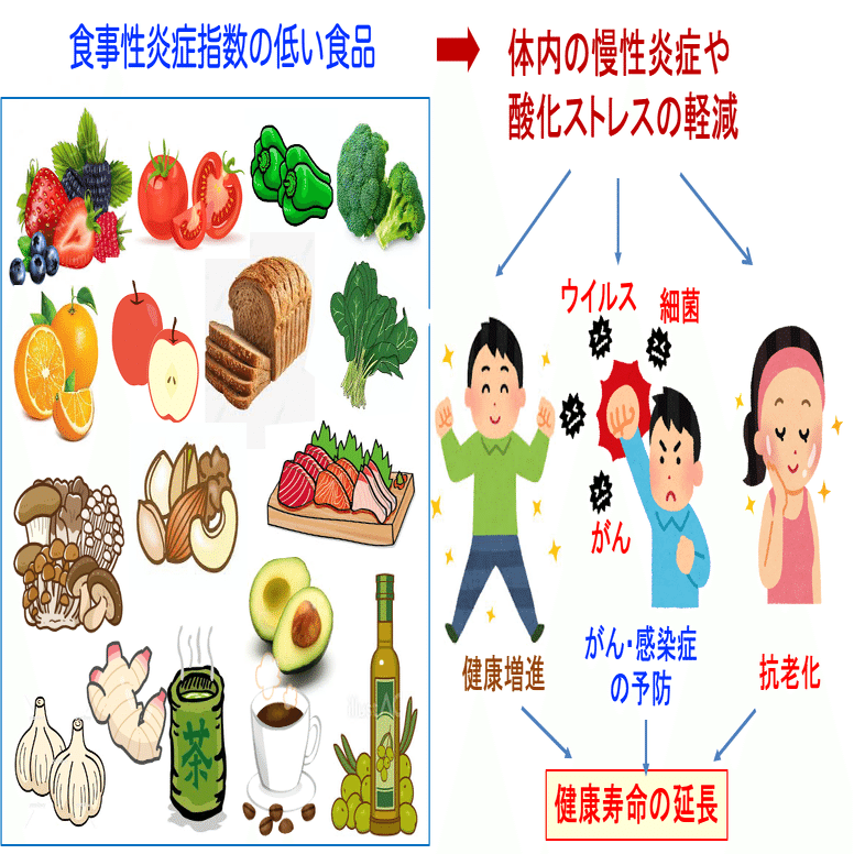 183）炎症誘発性の食事が寿命を短縮する｜福田 一典｜銀座東京クリニック