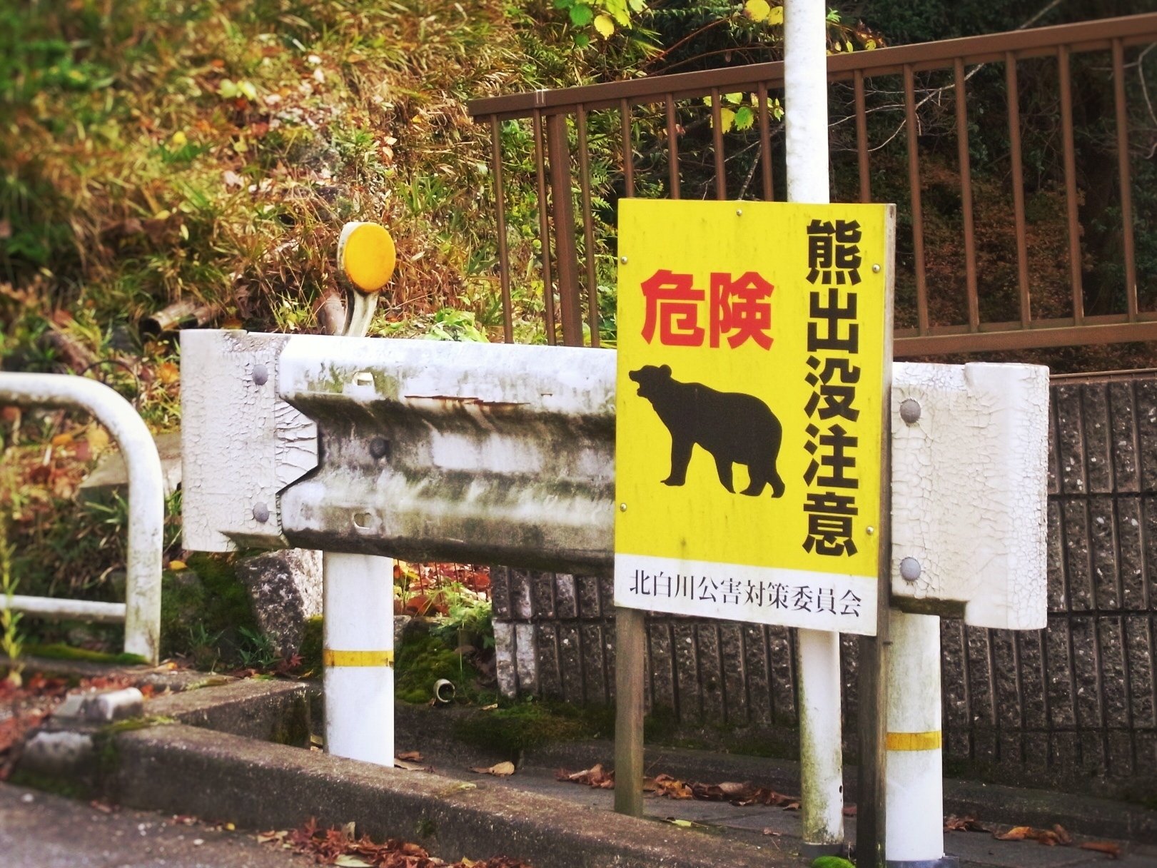 ▪️動物警戒標識#10 クマ注意｜matsukoaki