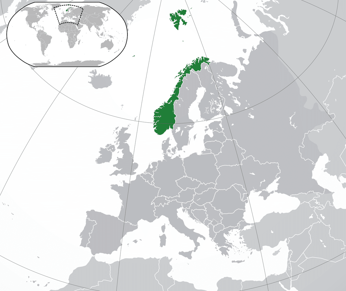 ＮＯノルウェー軍＊１９３０年代＊国旗ピン（実物） NOノルウェー軍＊1930年代＊国旗ピン（実物） NO