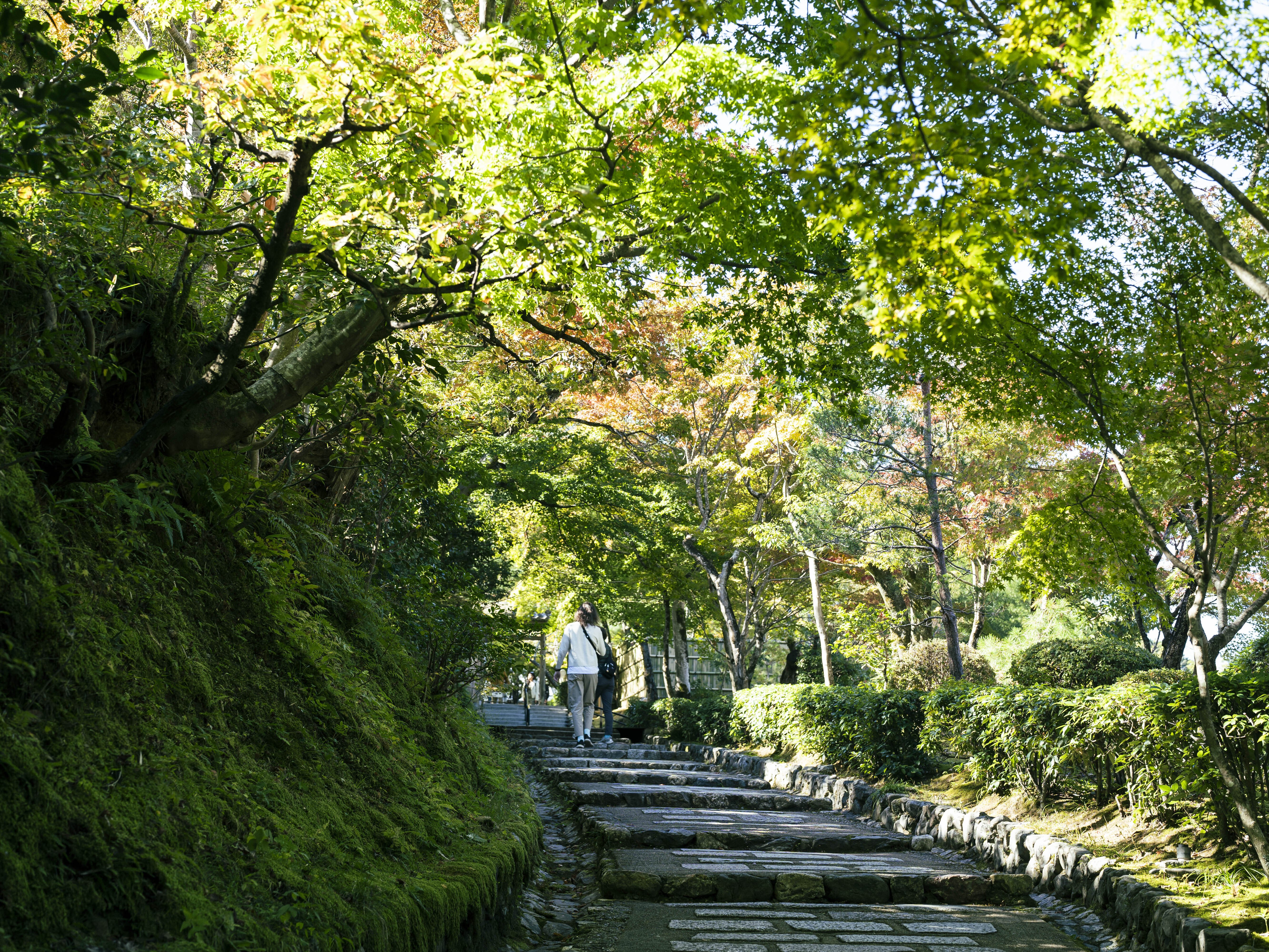 嵐が丘 Amazon.co.jp: 嵐が丘 (完全生産限定盤)(2CD) - 布袋寅泰